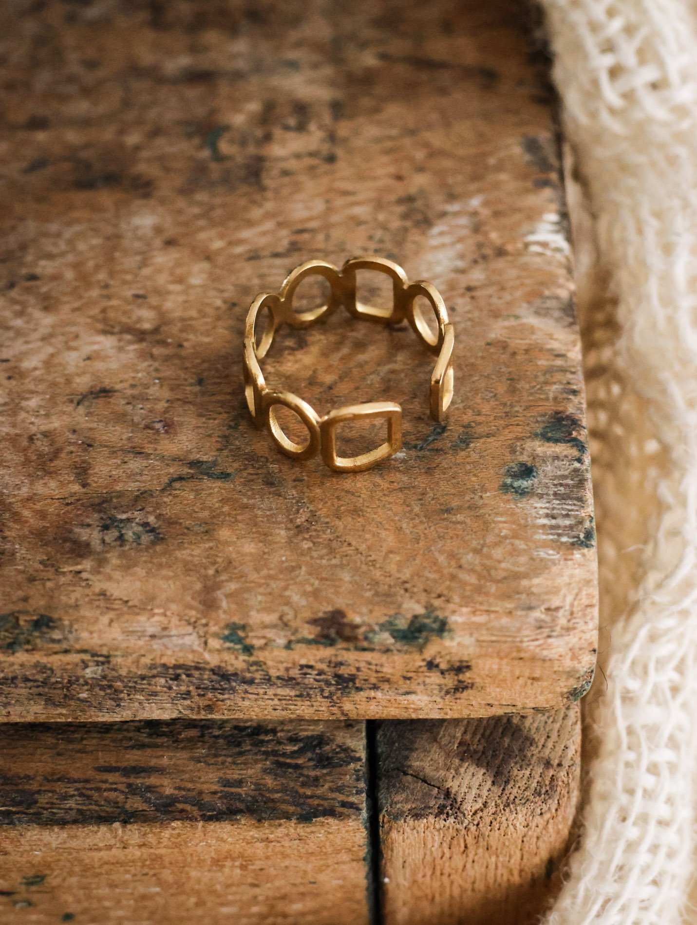 BIJOUX - carnet sauvage-46.jpg