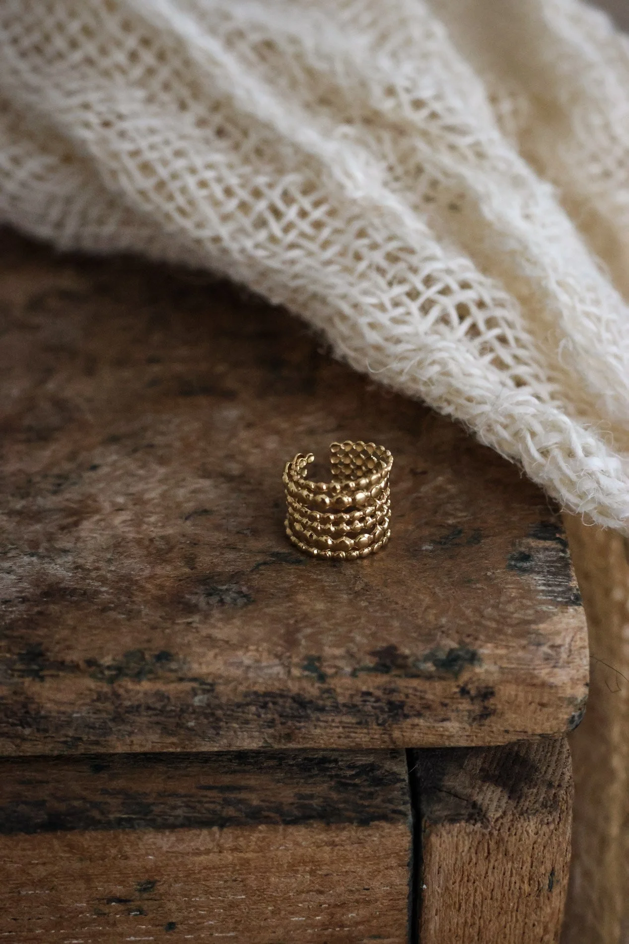BIJOUX - carnet sauvage-18.jpg