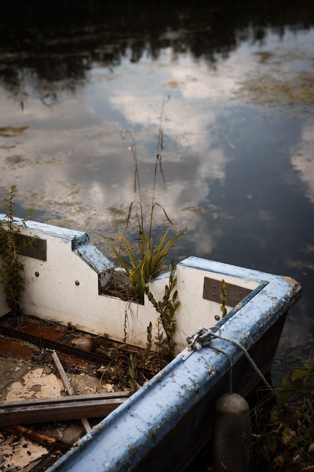 MARAIS AUDOMAROIS  - carnet sauvage-19.jpg