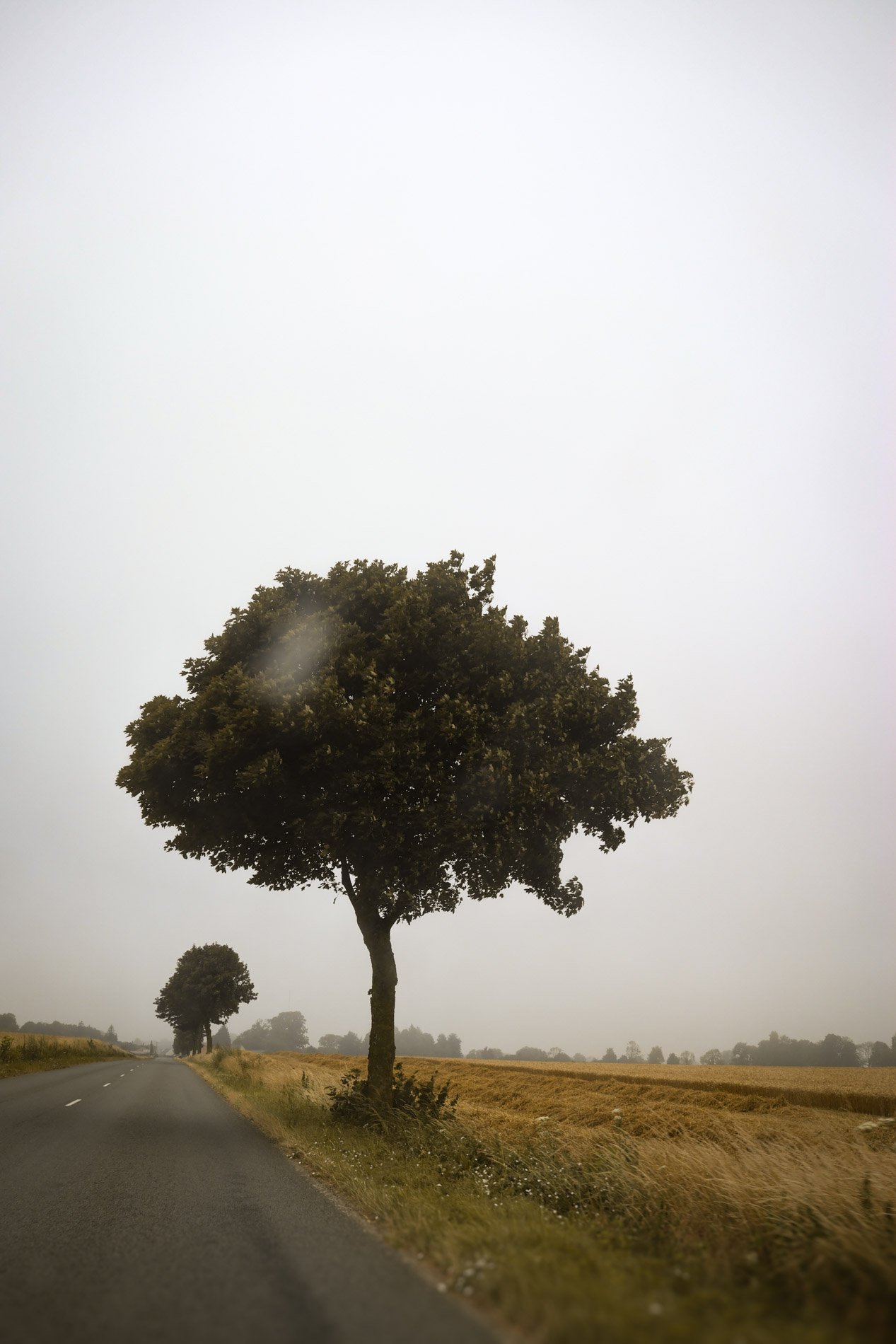 nature  - carnet sauvage-7.jpg