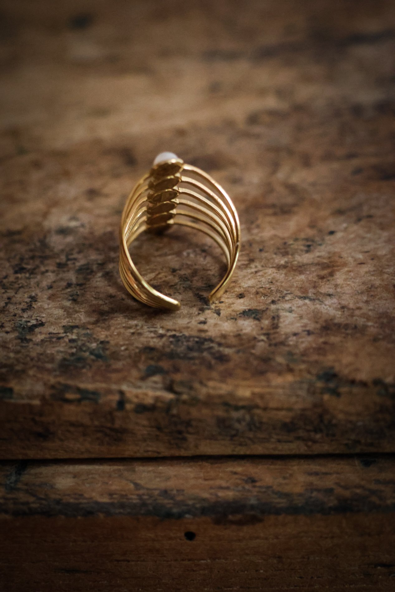 CHAUSSETTES ET BIJOUX -  CARNET SAUVAGE-28.jpg