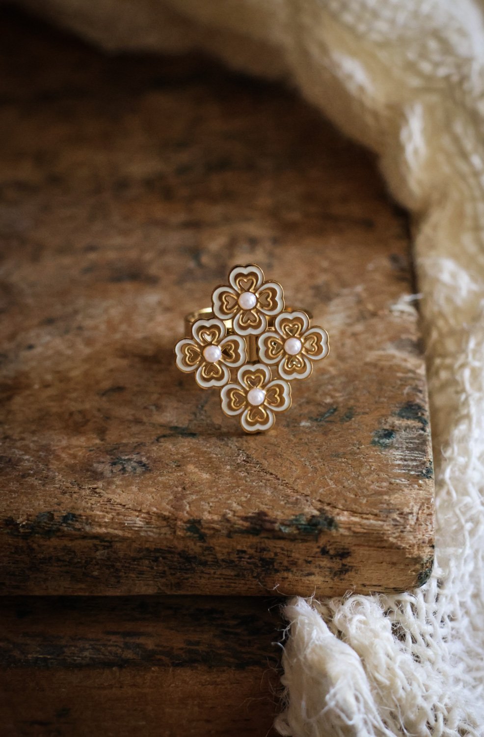 BIJOUX - carnet sauvage-062.jpg