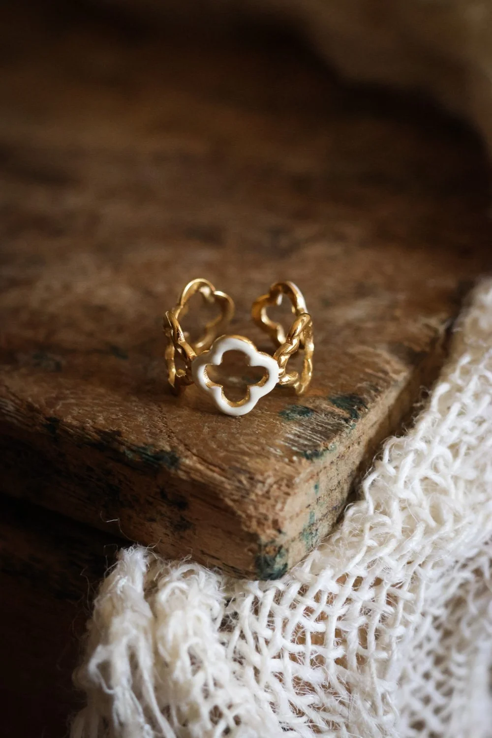 BIJOUX - carnet sauvage-013.jpg