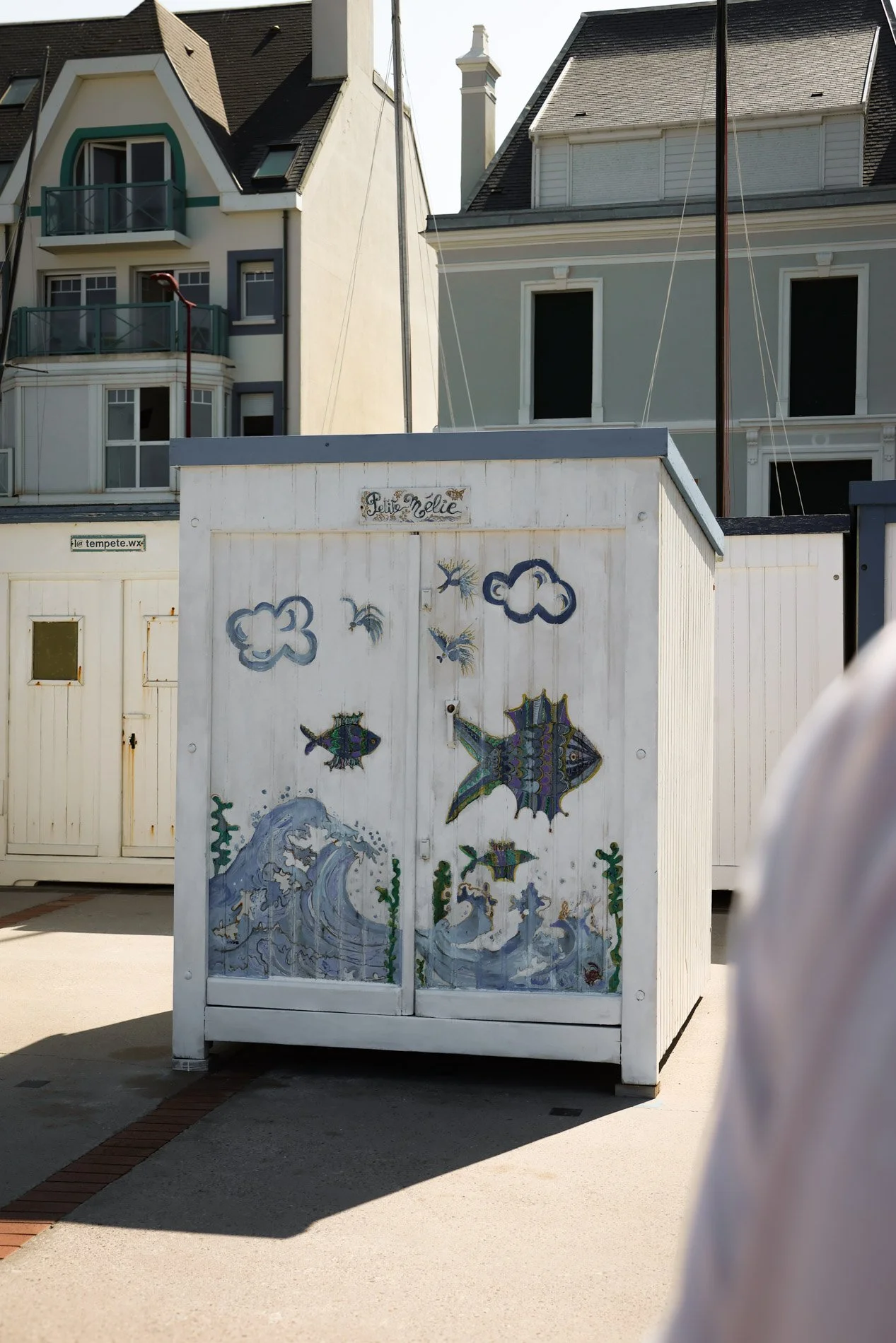 cote d'opale  - carnet sauvage-8.jpg