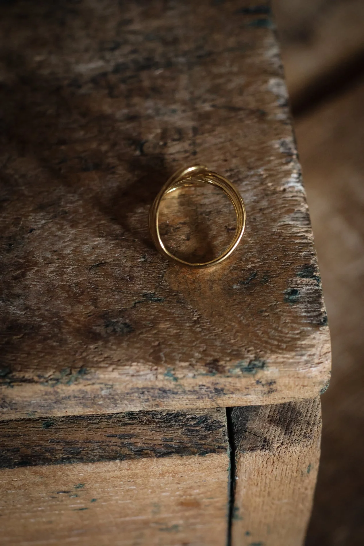 BAGUE  -  CARNET SAUVAGE-3.jpg