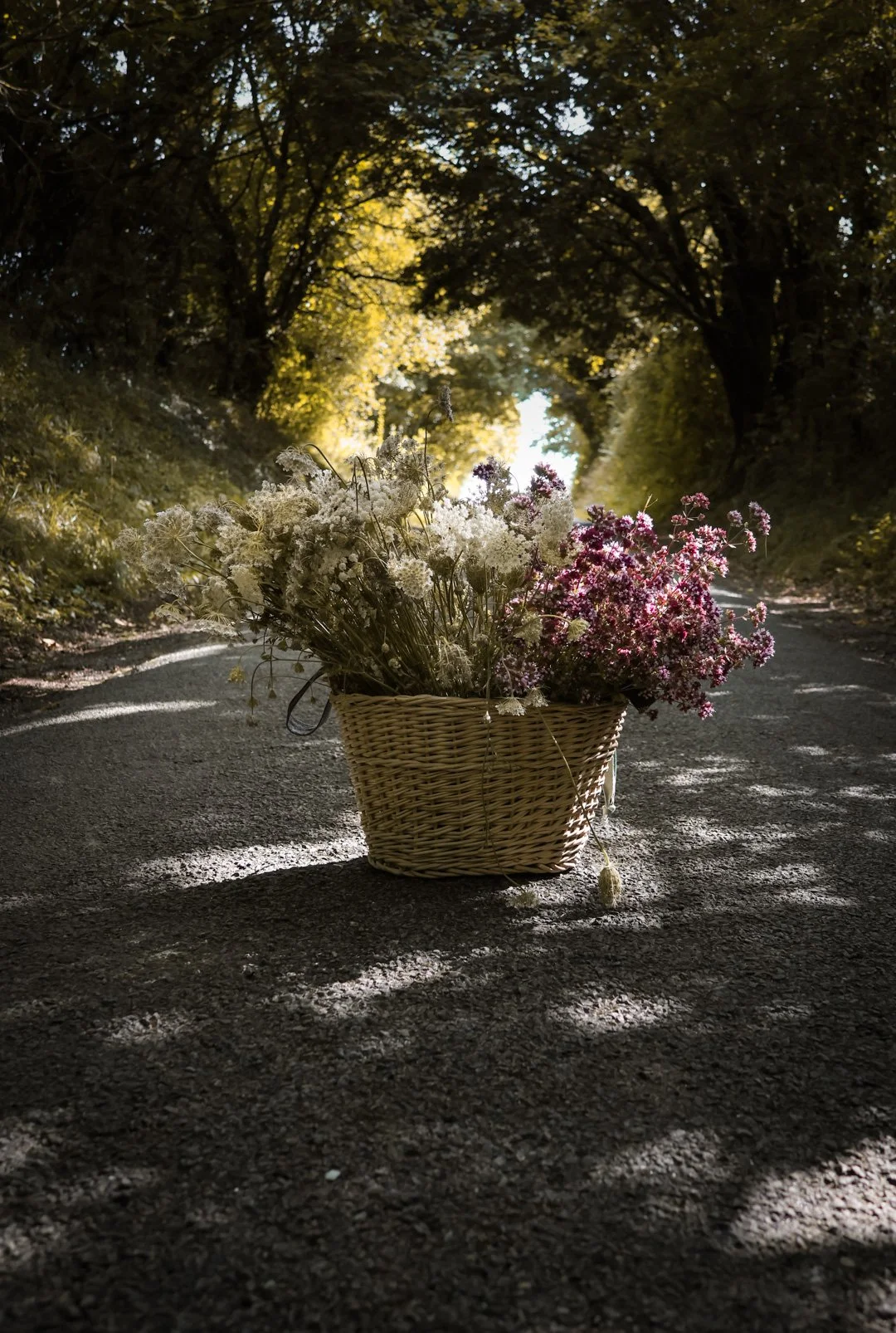 histoire de fleurs  - carnet sauvage-26.JPG