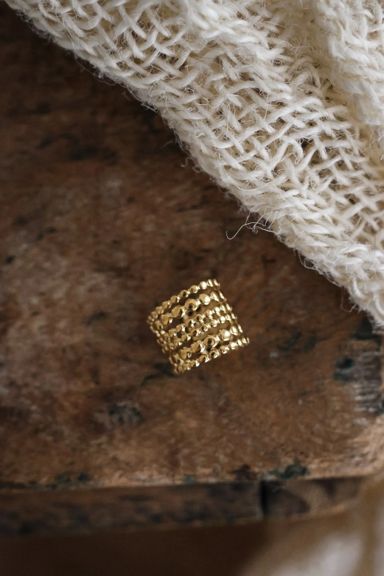 BIJOUX - carnet sauvage-16.jpg