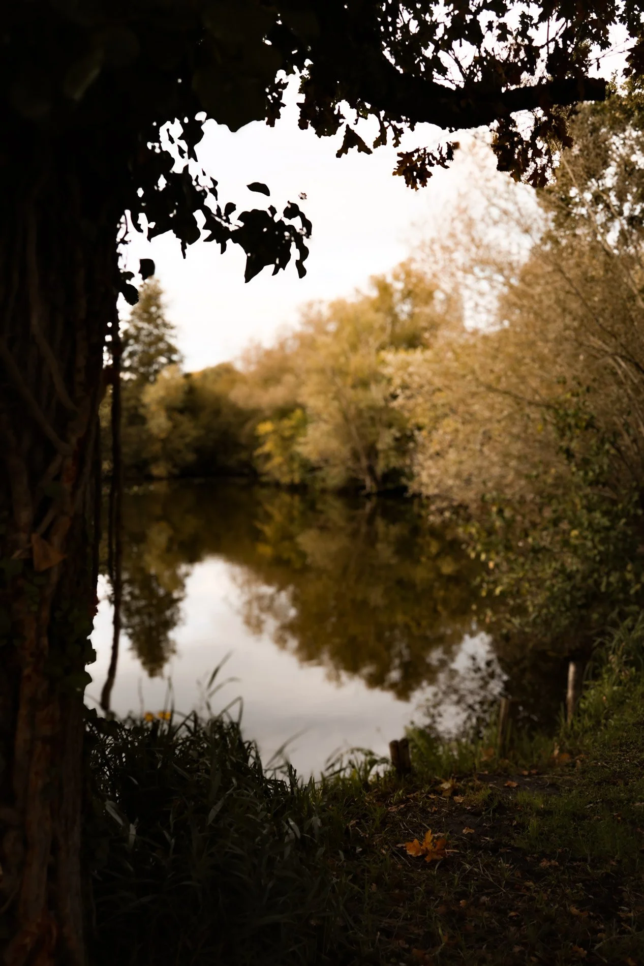 carnet sauvage-17.jpg