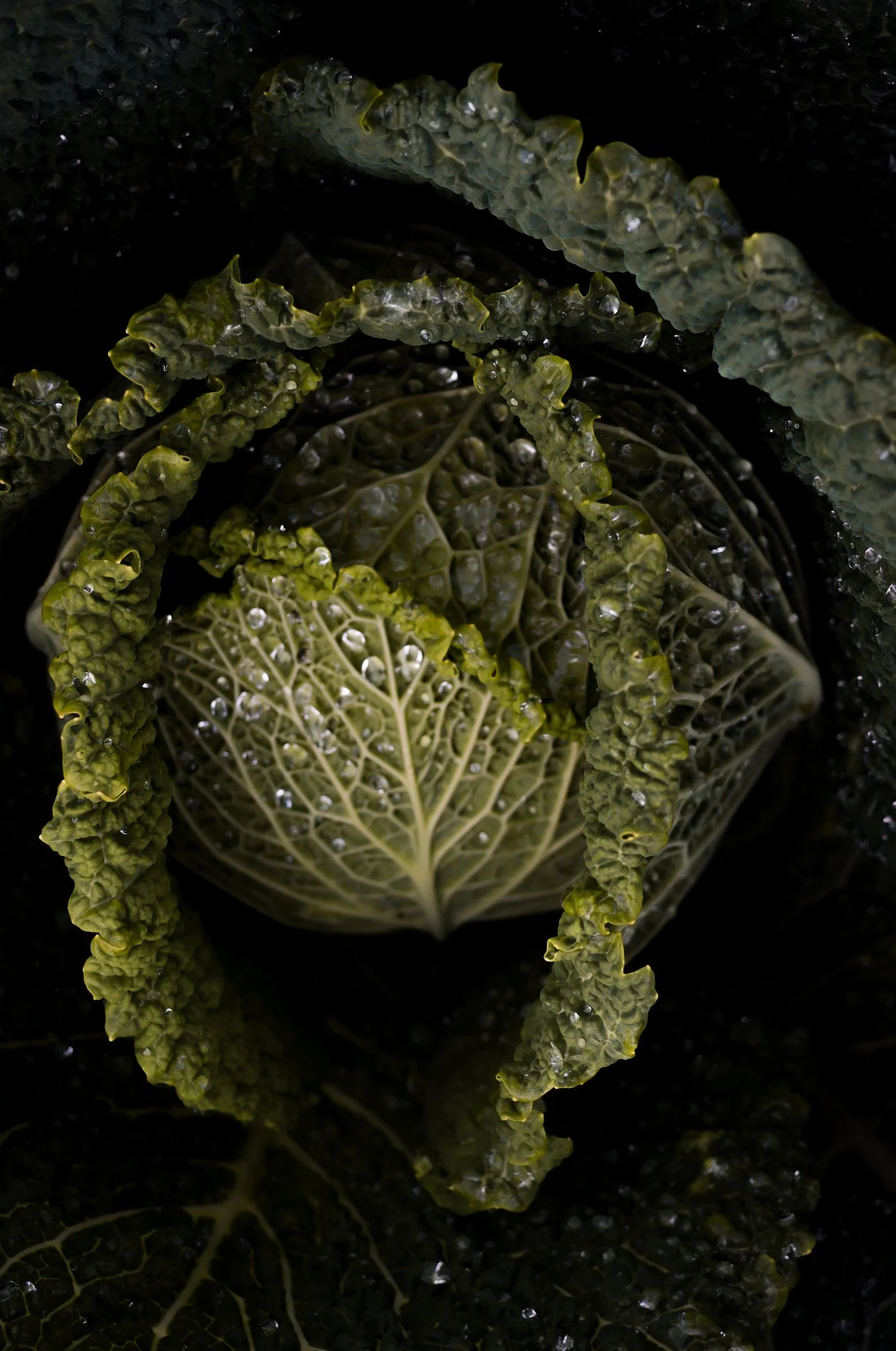 carnet sauvage-24.jpg