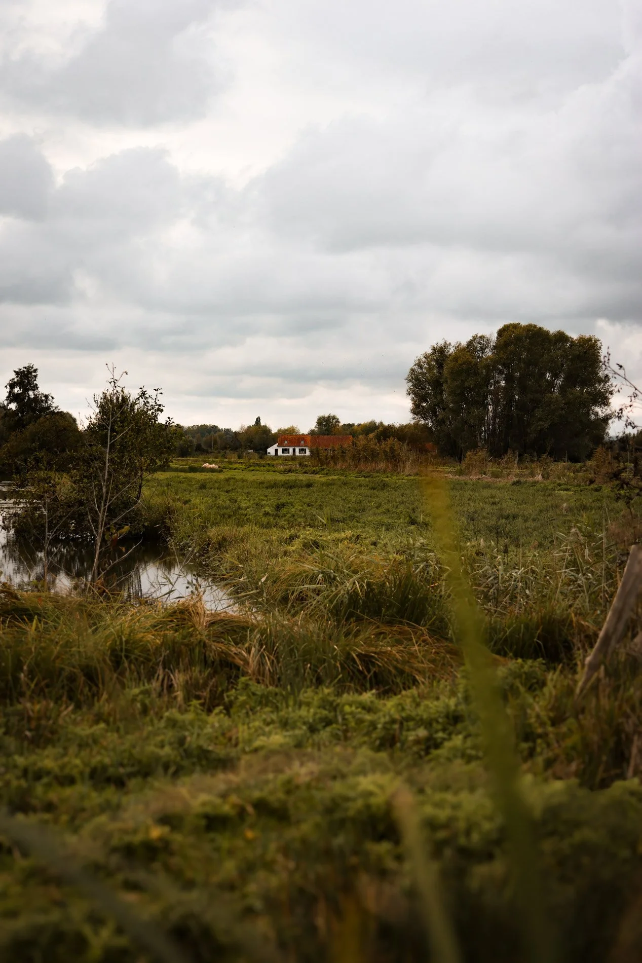 carnet sauvage-26.jpg
