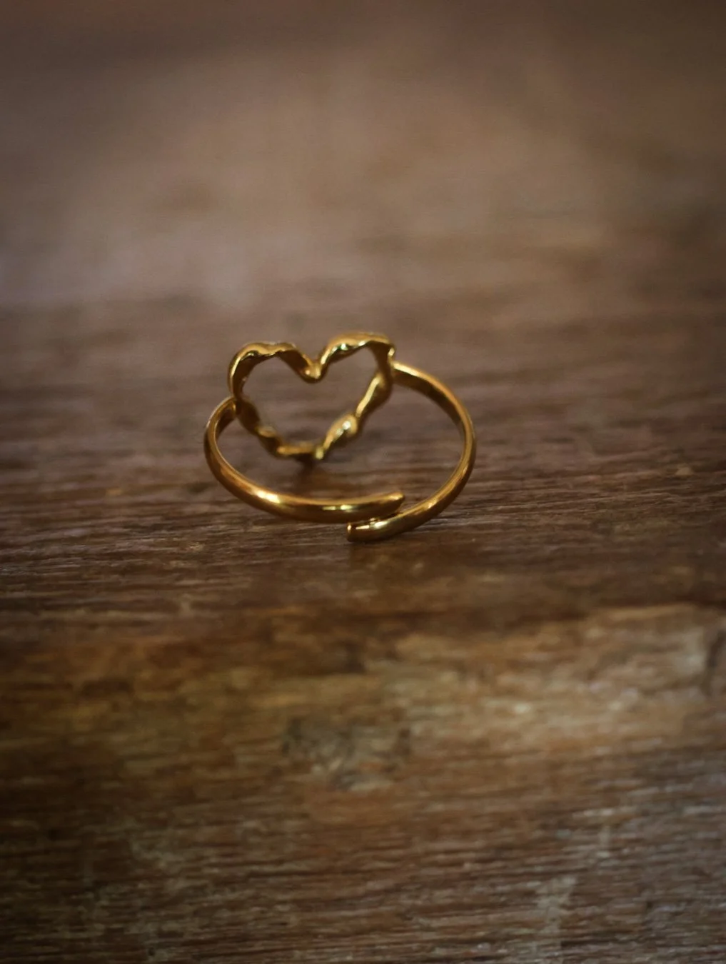 bague -  CARNET SAUVAGE-2.jpg