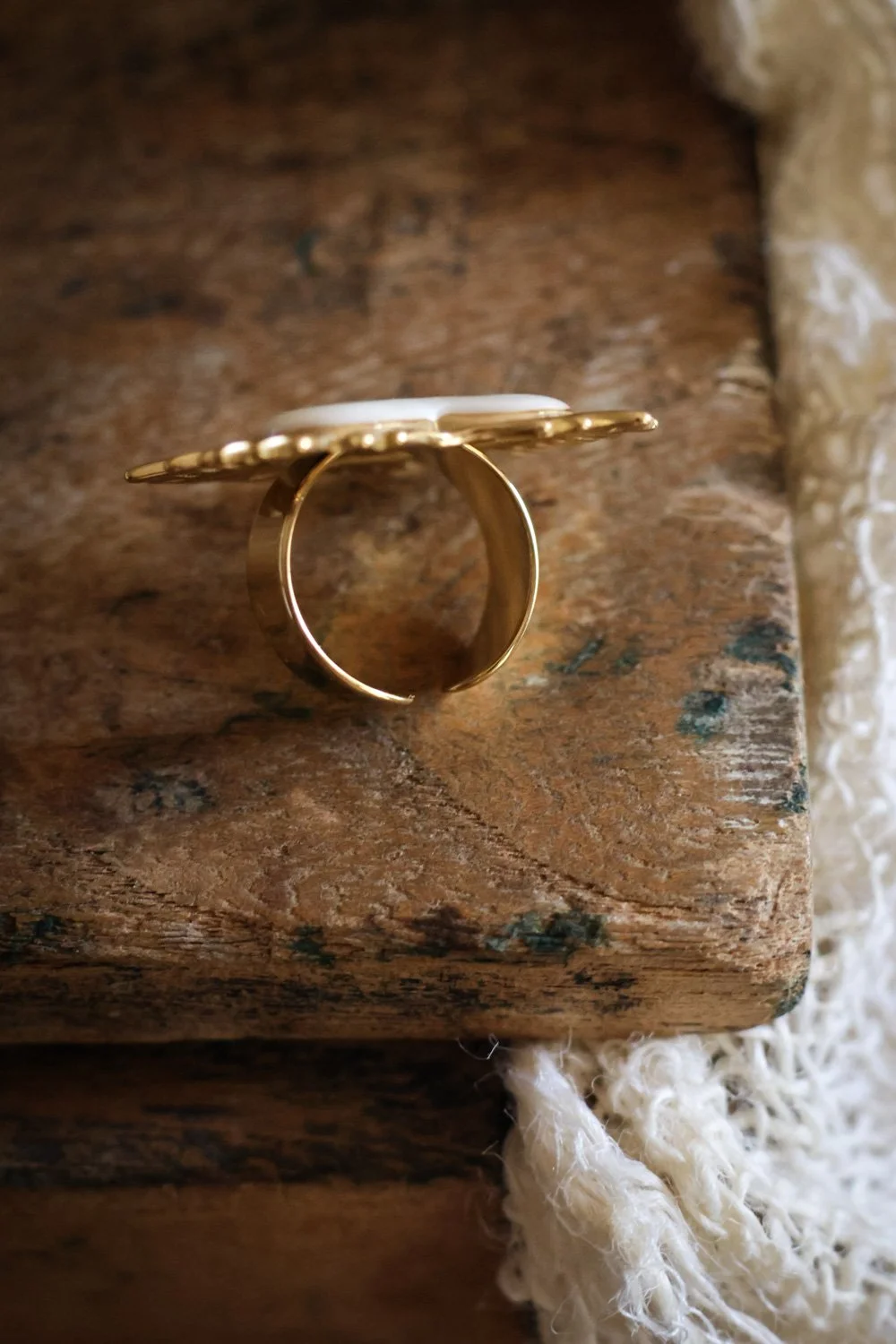 BIJOUX - carnet sauvage-019.jpg