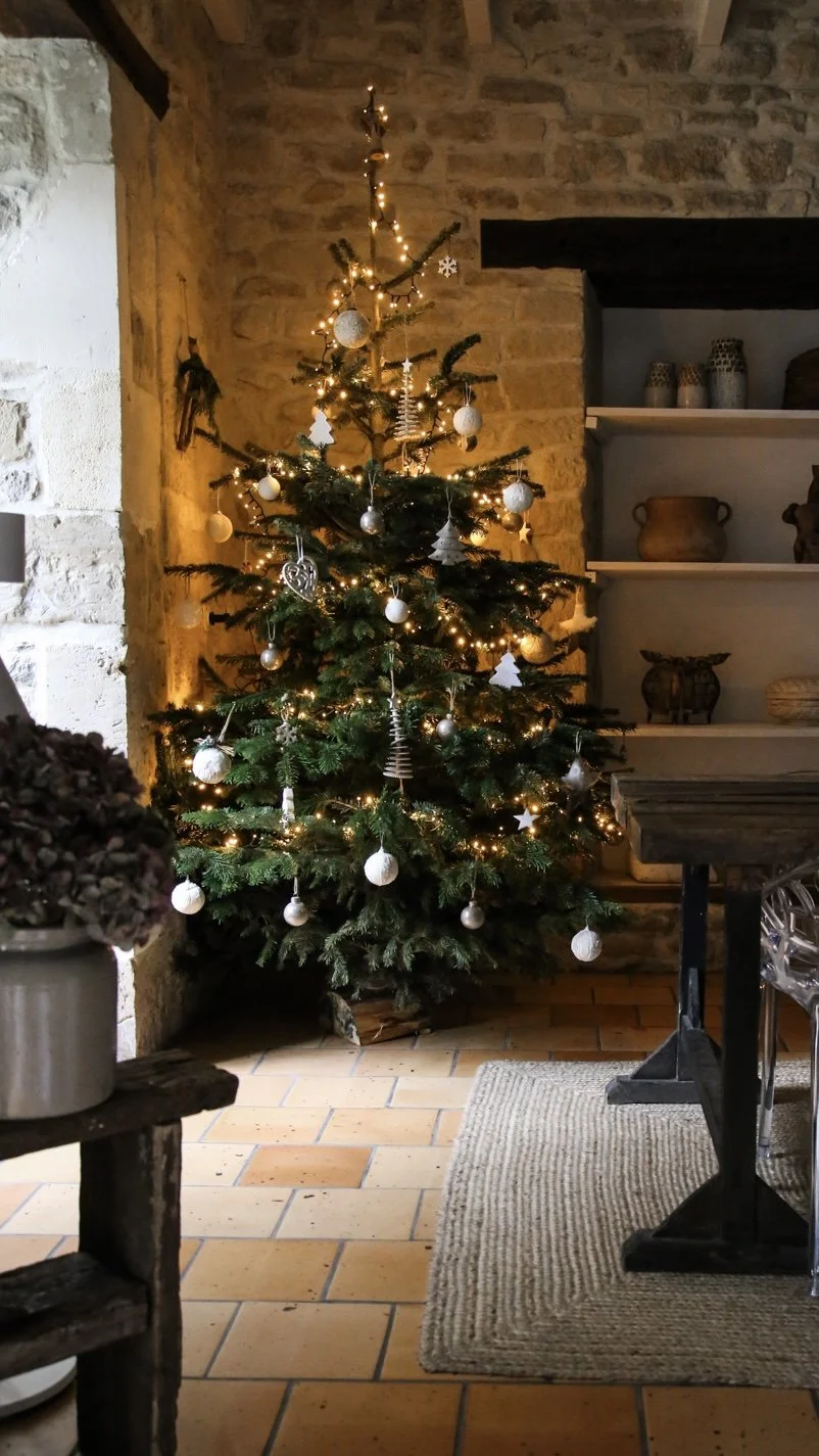 HOME NOEL - CARNET SAUVAGE_-2.jpg