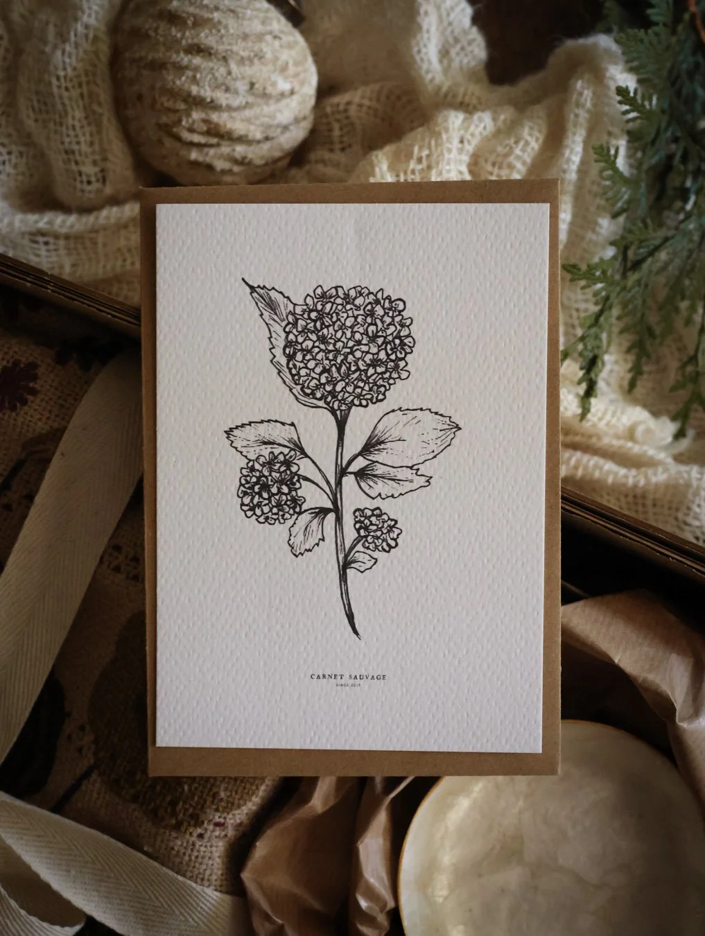 coffrets cadeaux - CARNET SAUVAGE-112.jpg