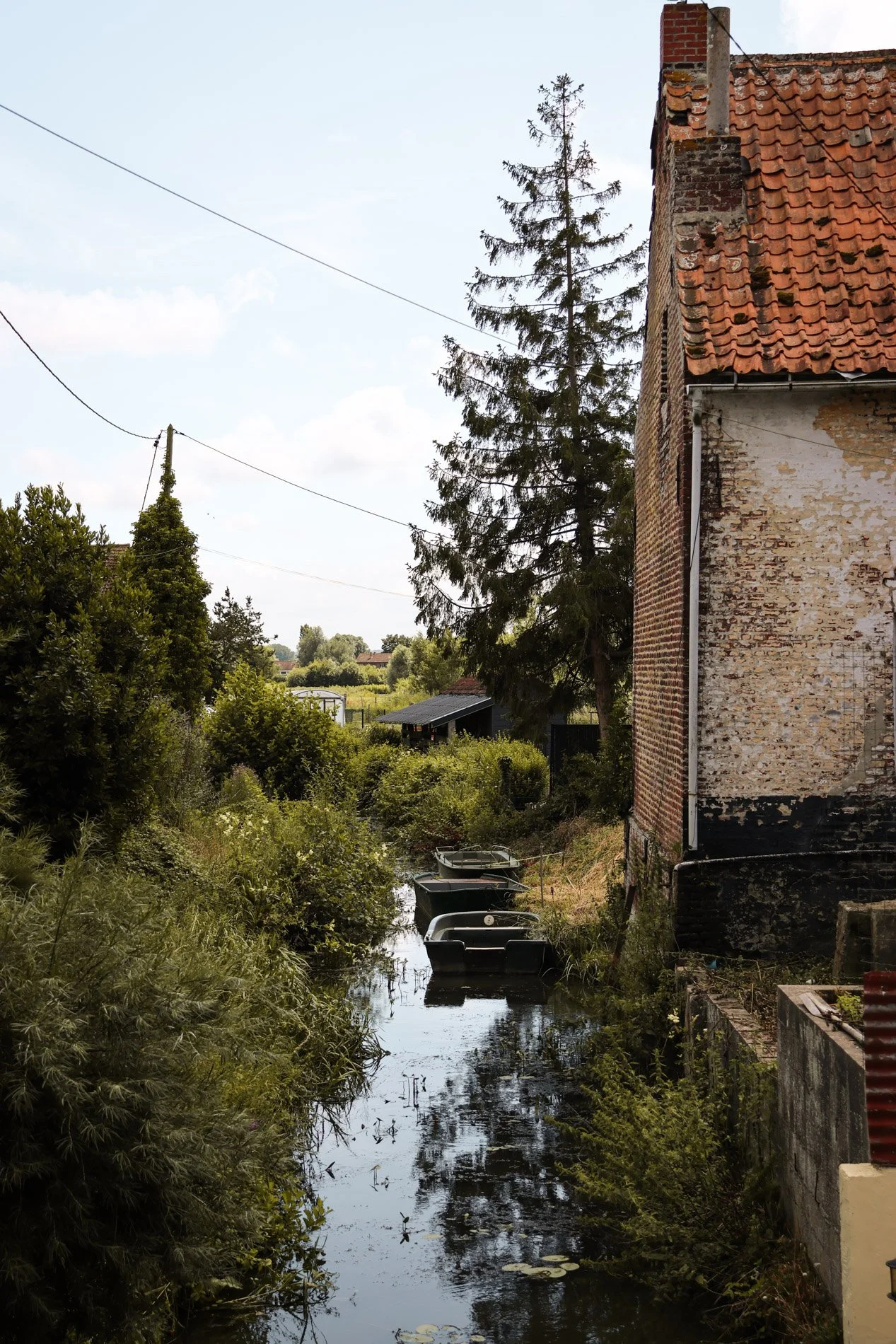 Le marais audomarois - carnet sauvage