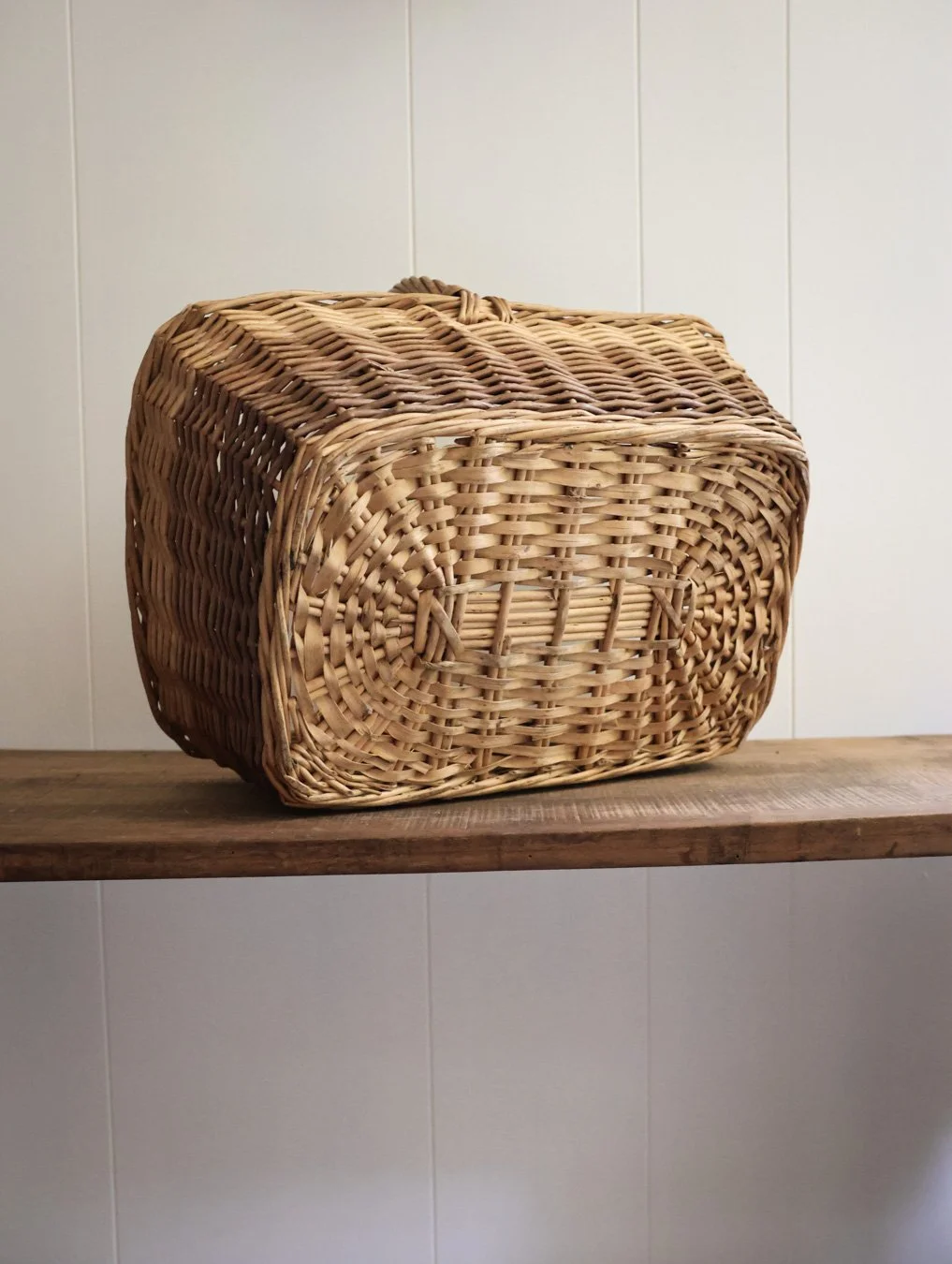 DECO - CARNET SAUVAGE-48.jpg