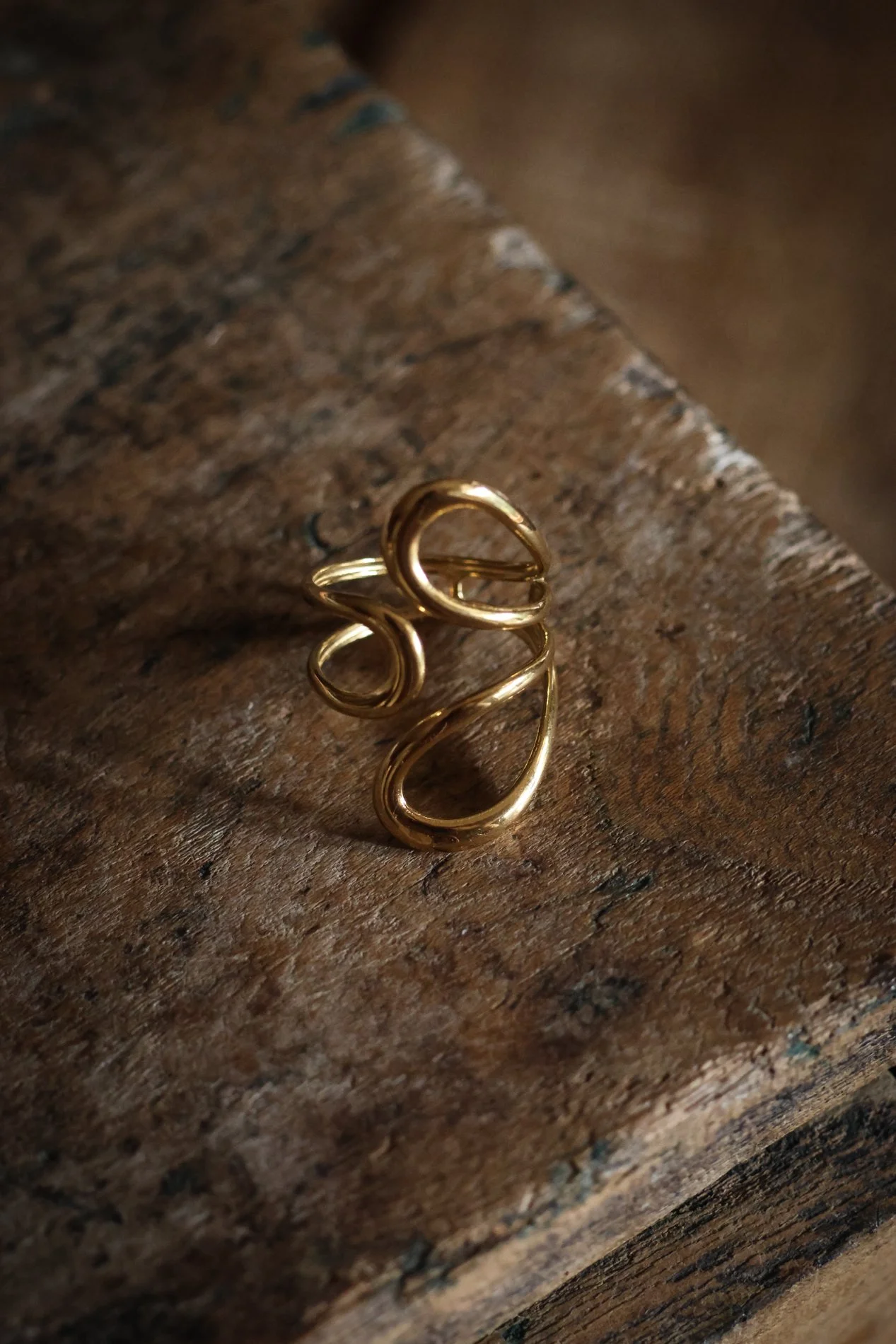 BAGUE  -  CARNET SAUVAGE-1.jpg