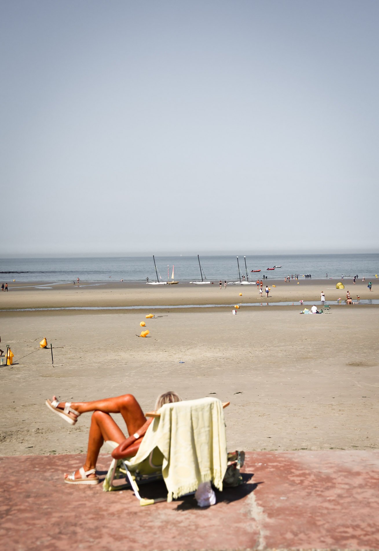 cote d'opale  - carnet sauvage-23.jpg