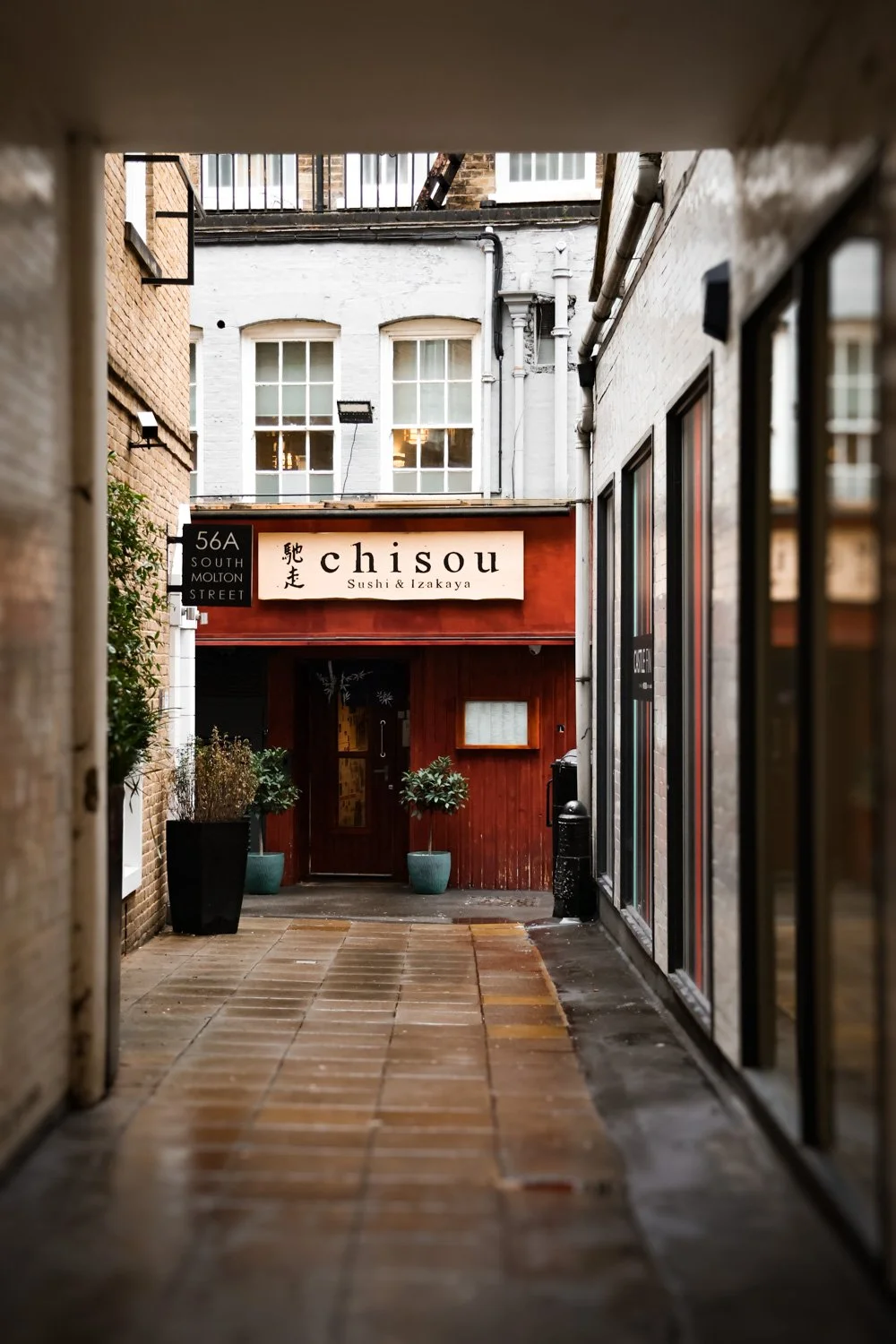 LONDRES  - CARNET SAUVAGE-10.JPG