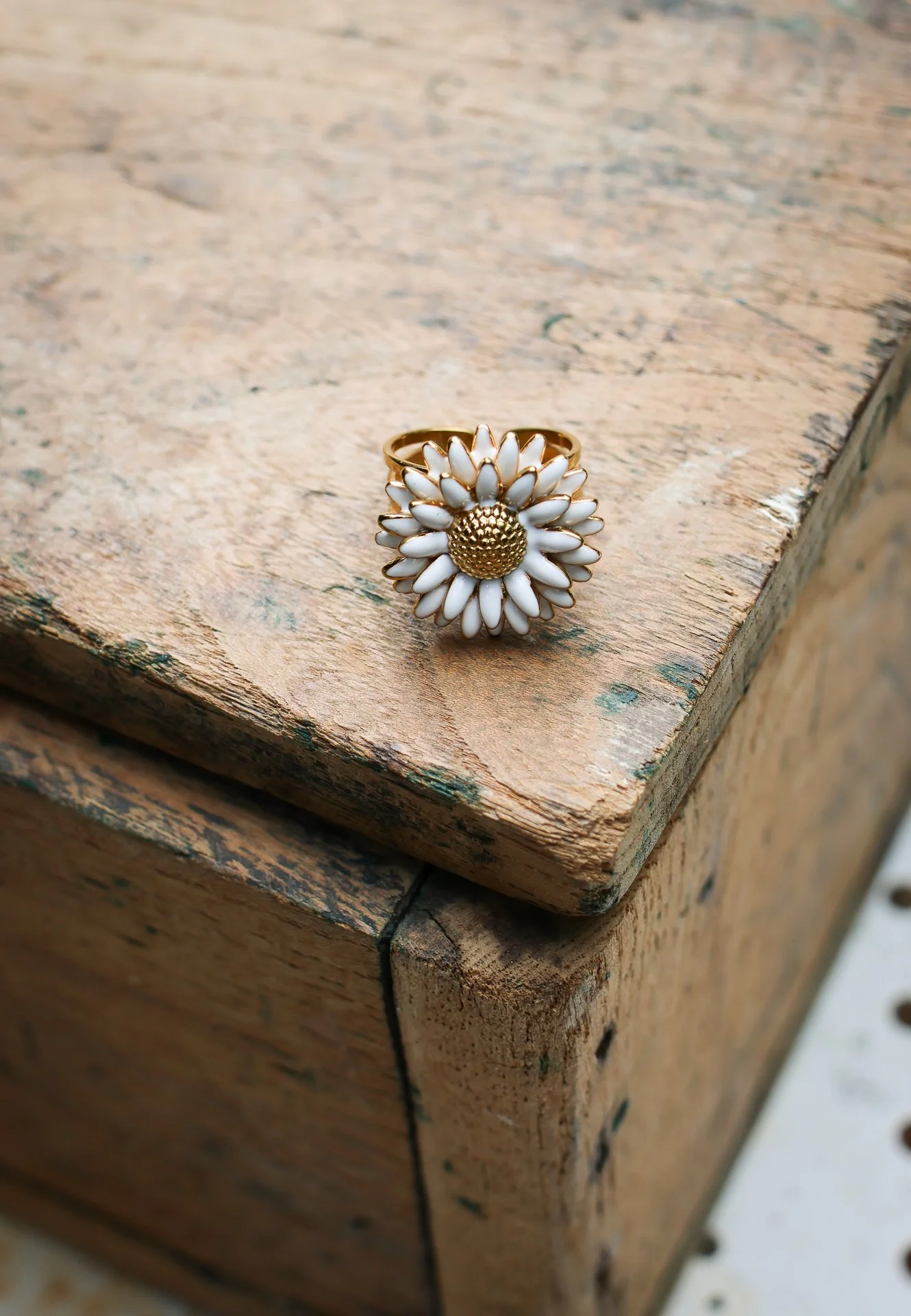 BIJOUX CARNET SAUVAGE-042.jpg