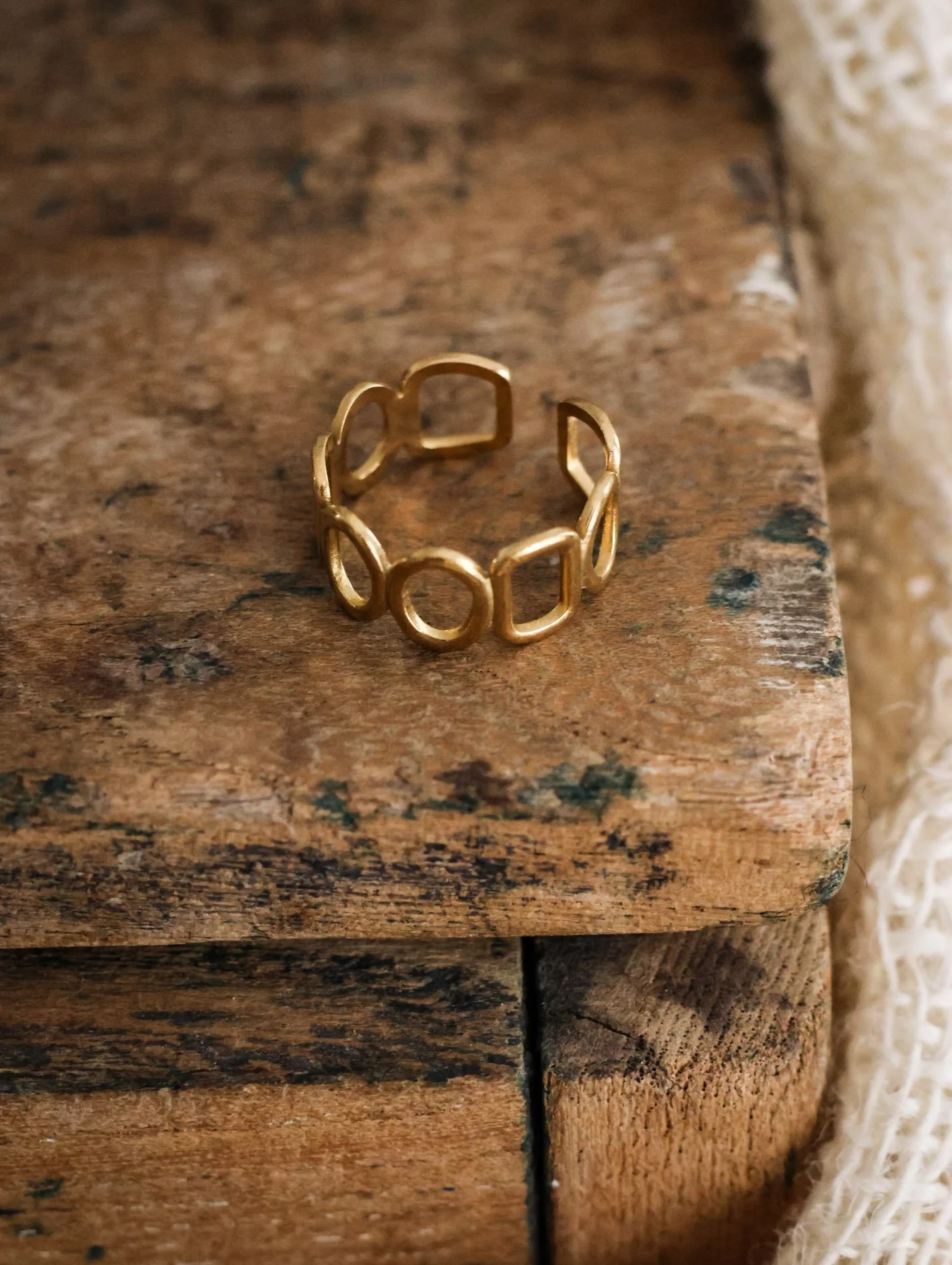BIJOUX - carnet sauvage-47.jpg