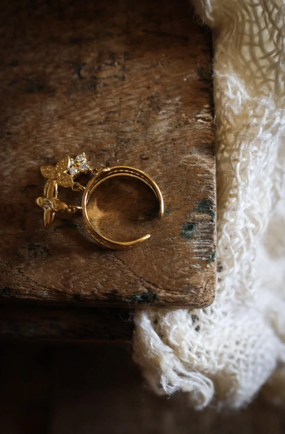 BIJOUX - carnet sauvage-015.jpg