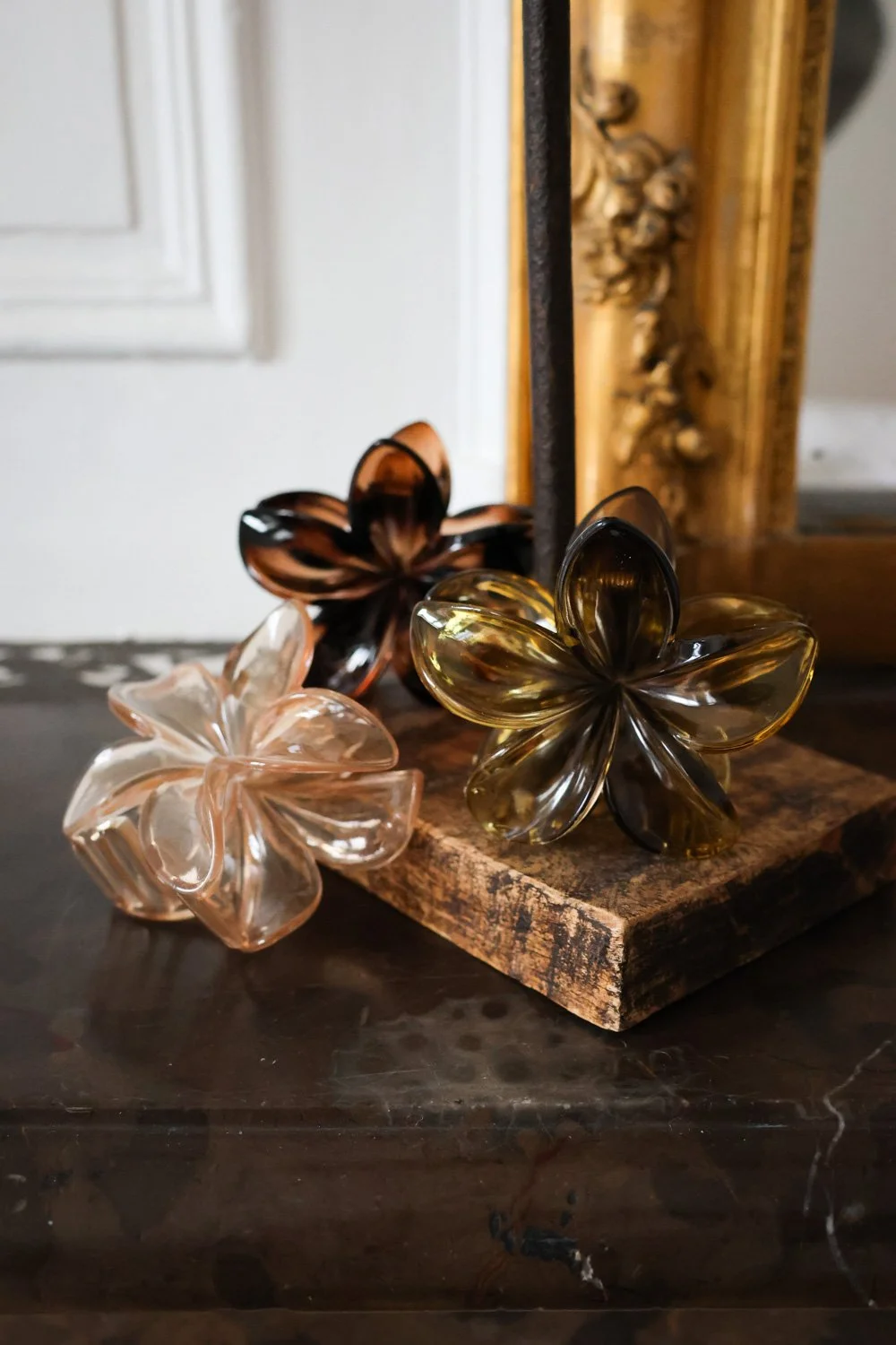 NOUVEAUTES MODE  - CARNET SAUVAGE-566.jpg