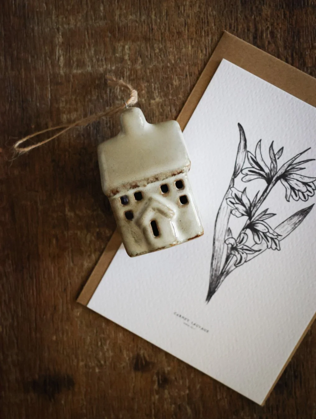 coffrets cadeaux - CARNET SAUVAGE-30.jpg