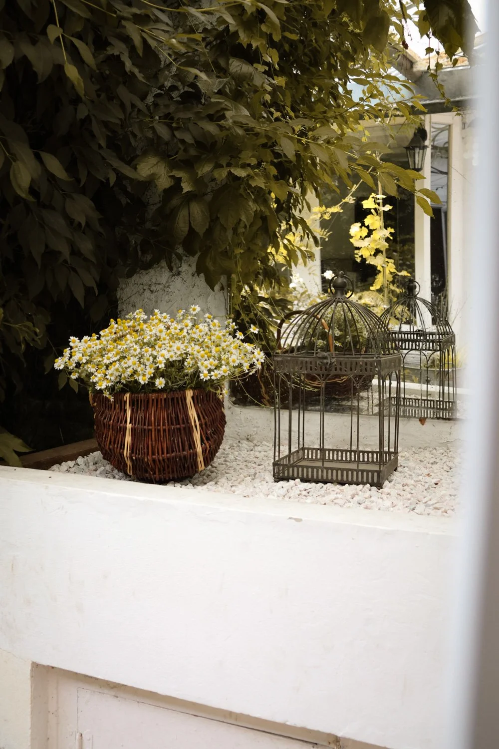 fleurs  carnet sauvage-10.JPG