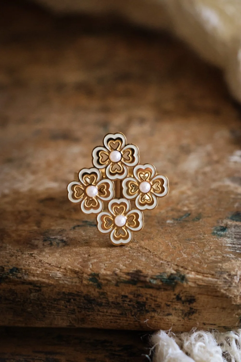 BIJOUX - carnet sauvage-060.jpg