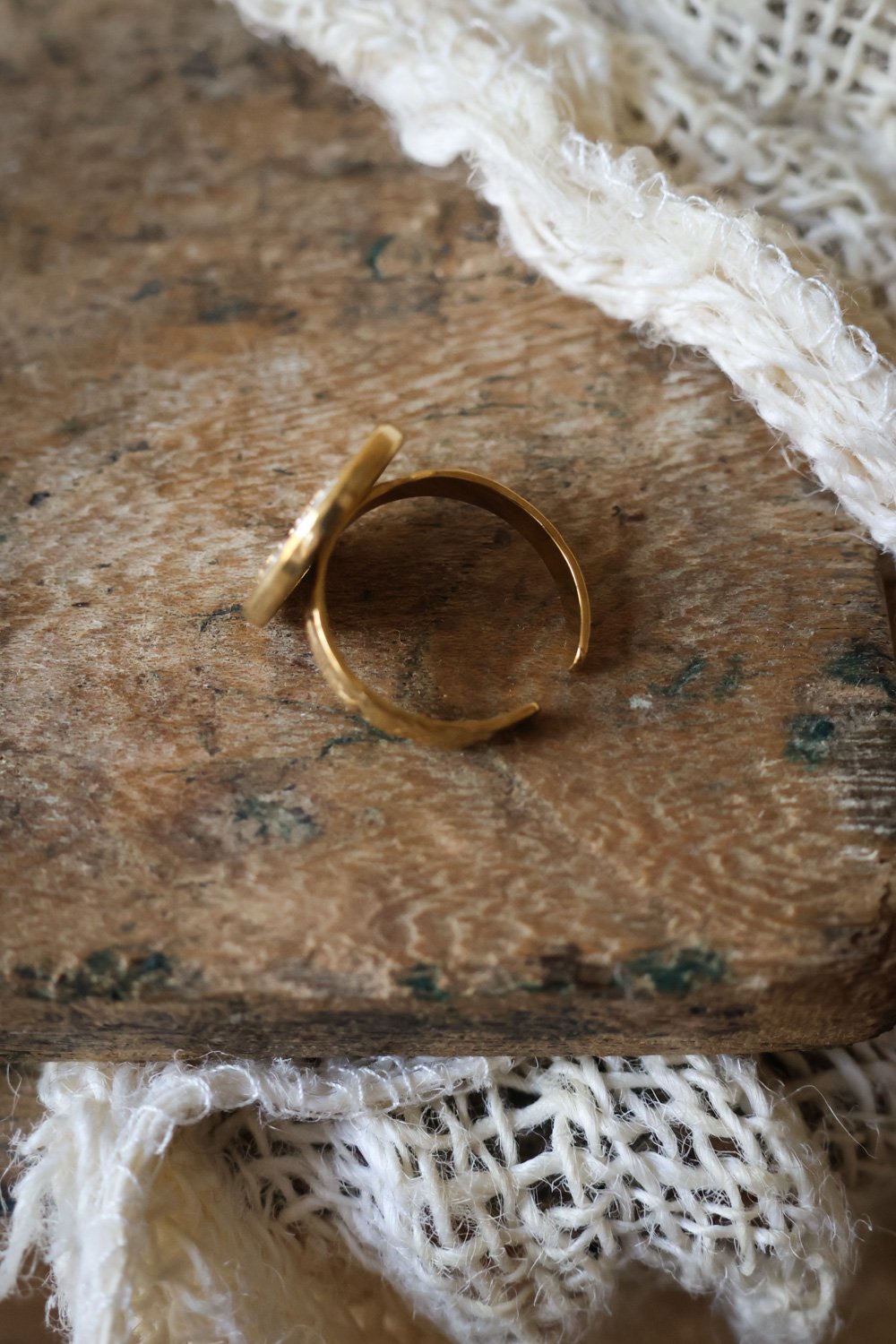 BIJOUX  carnet sauvage-68.jpg
