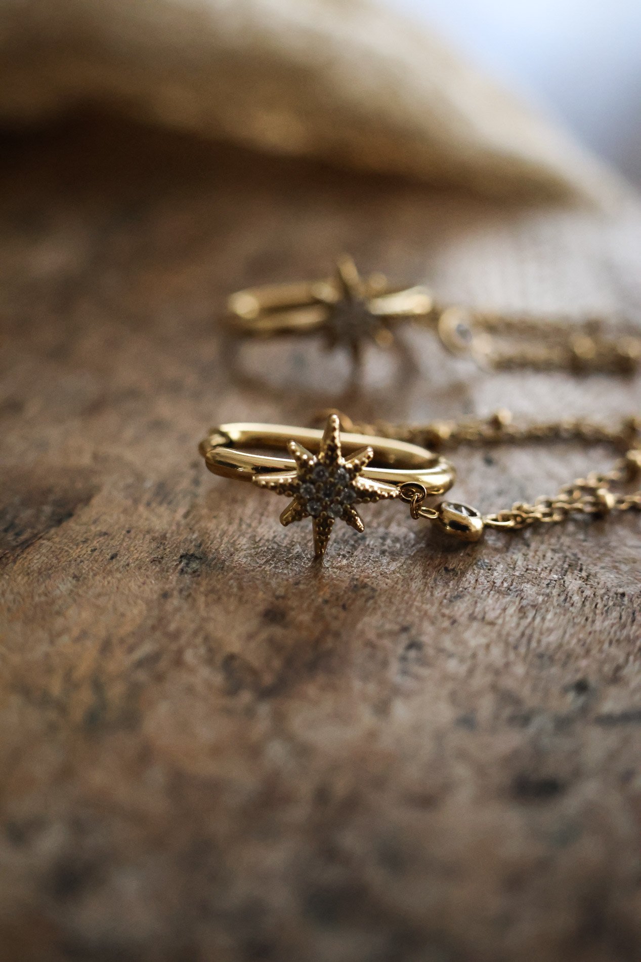 BIJOUX - carnet sauvage-66.jpg
