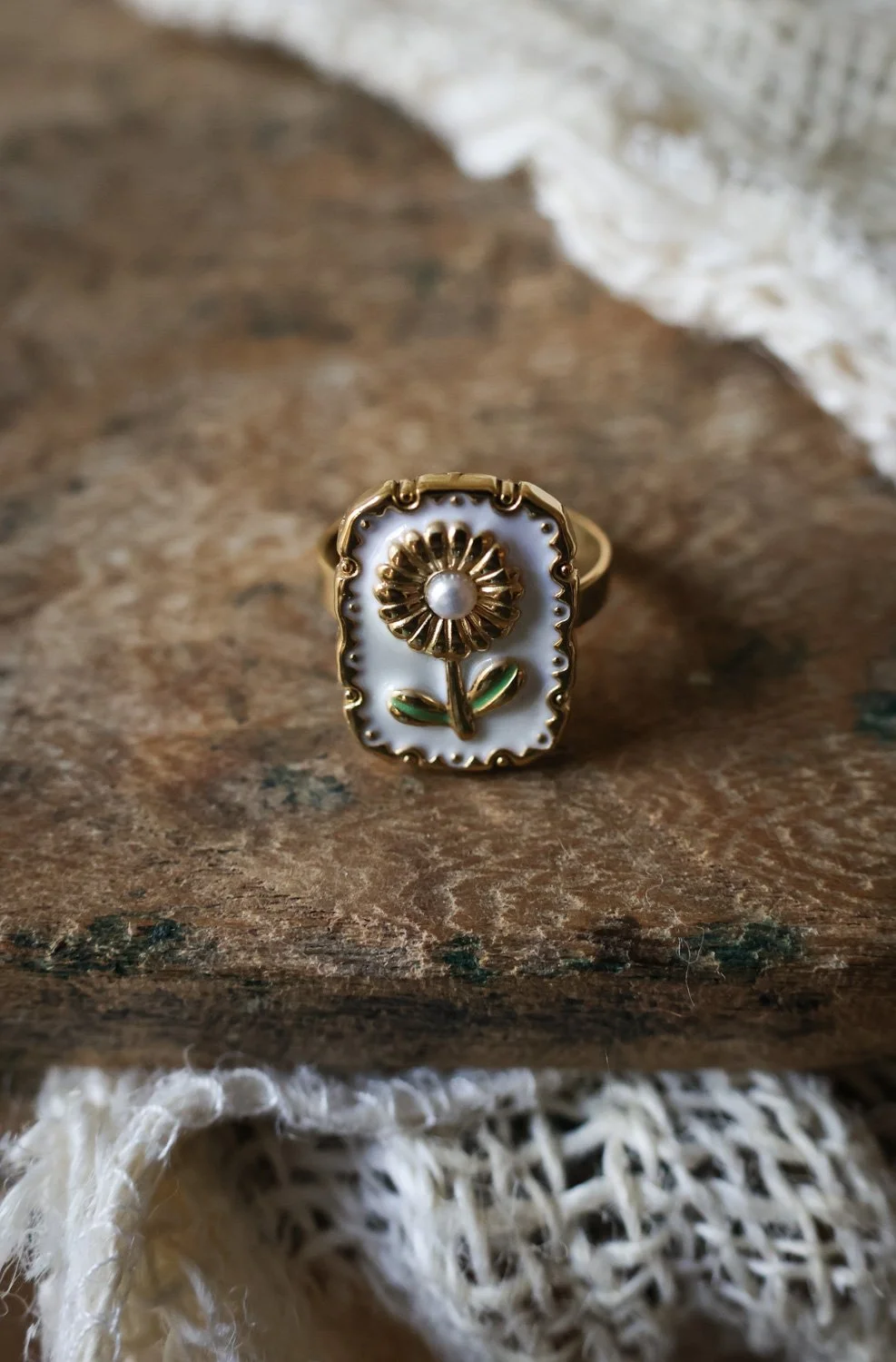 BIJOUX  carnet sauvage-80.jpg