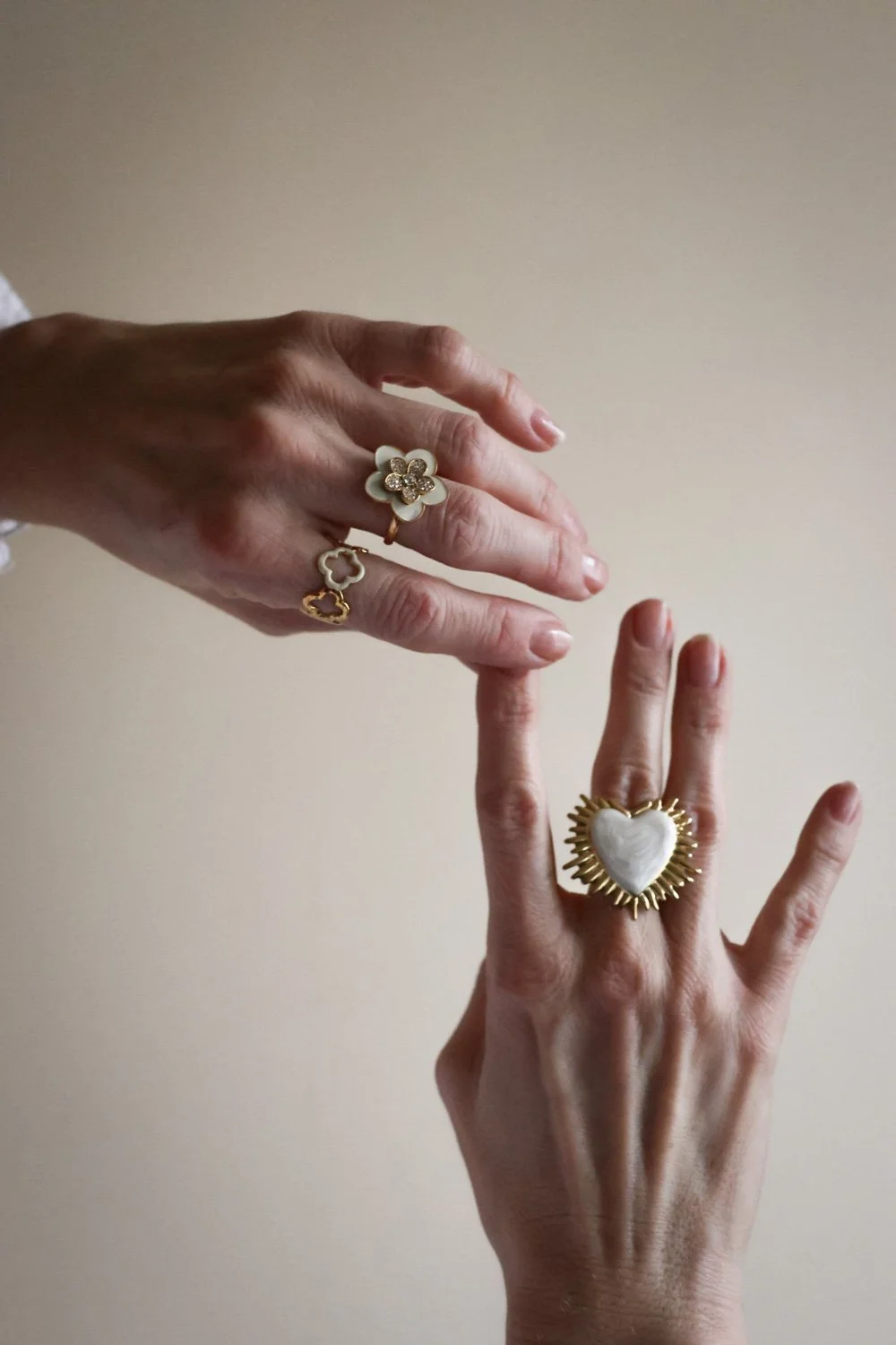 NOUVELLE COLLECTION  - carnet sauvage-012.jpg