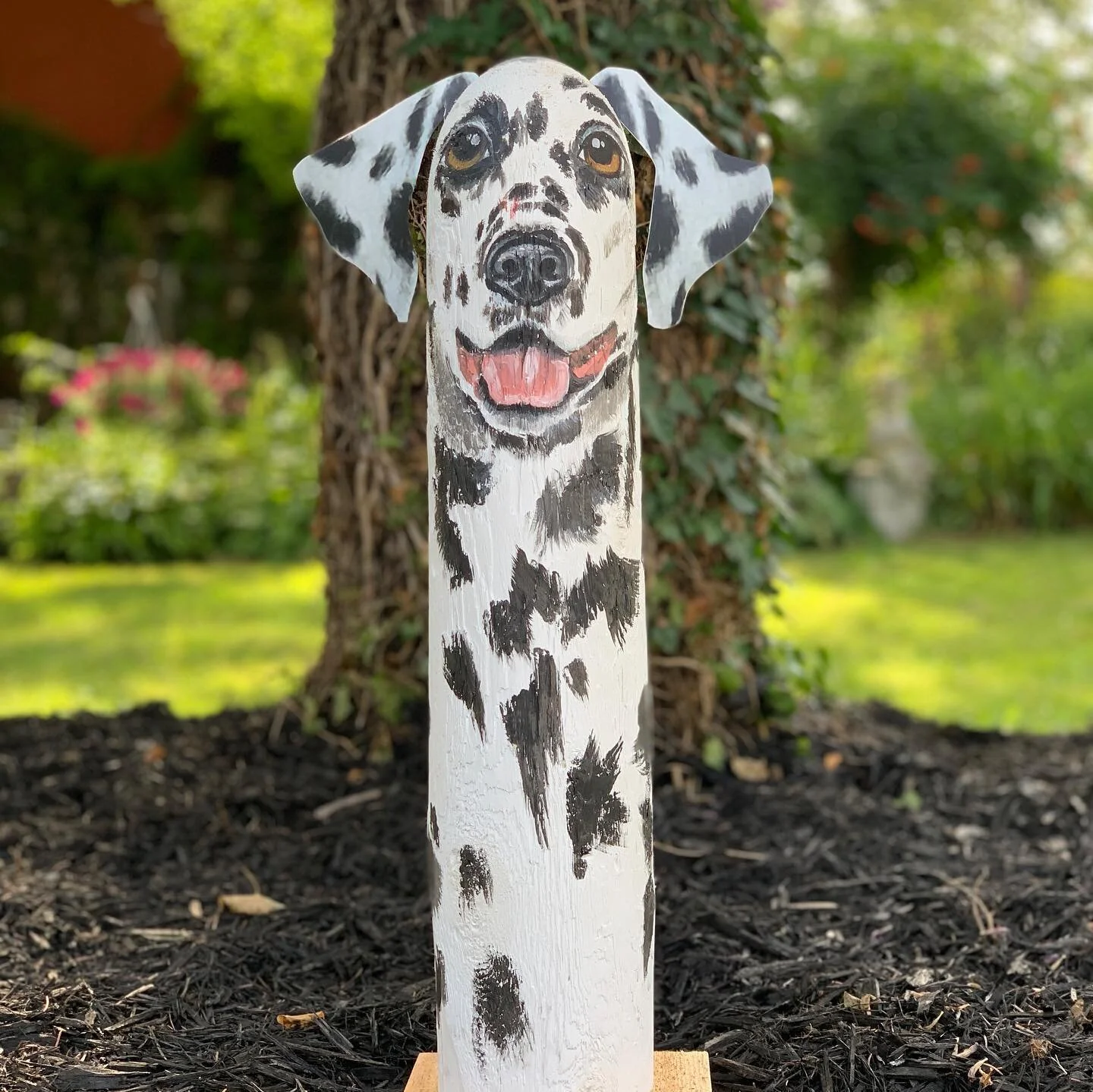 Dalmation Dog