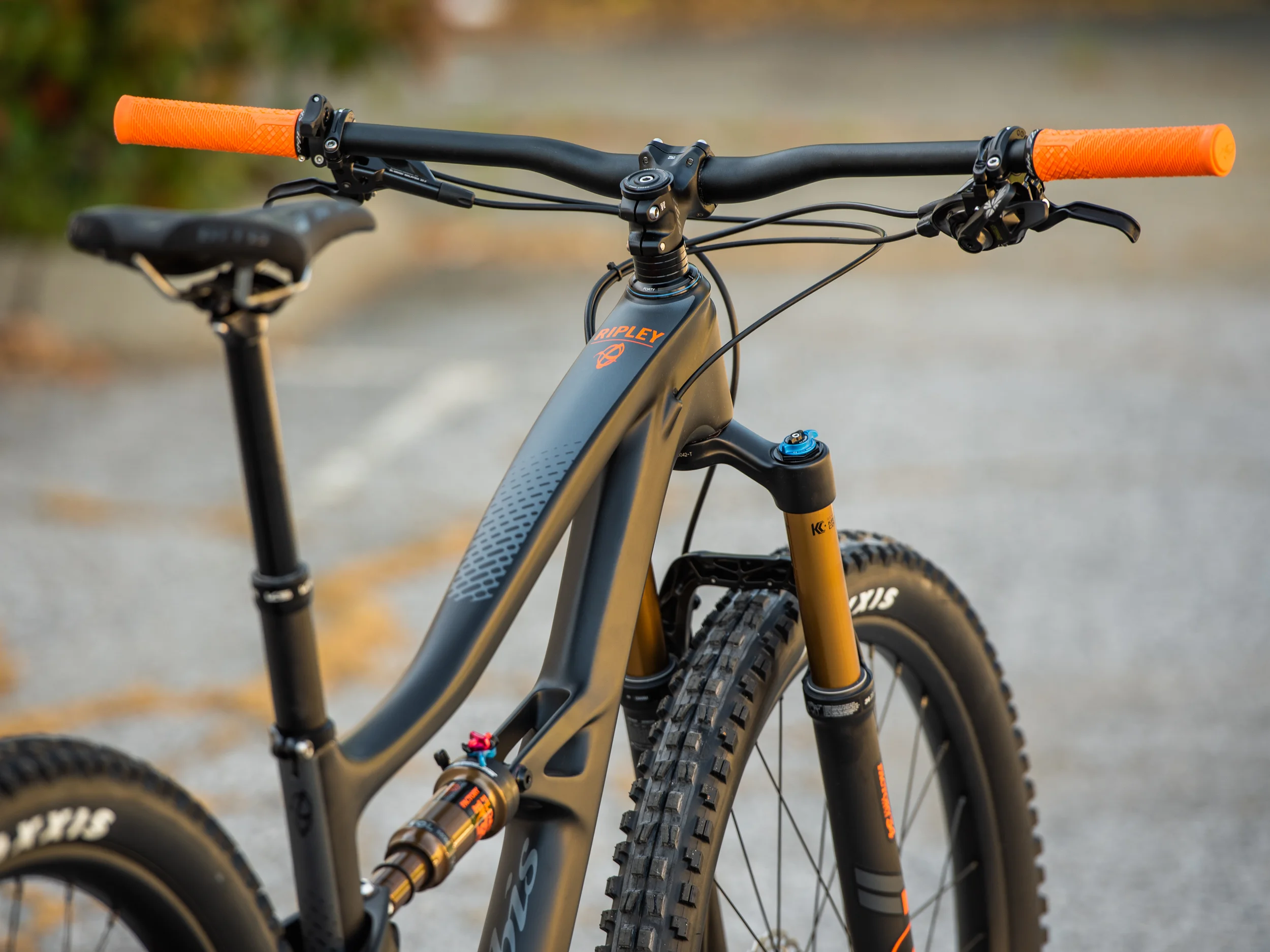 Trail.Head.Cyclery.2019-8783.jpg
