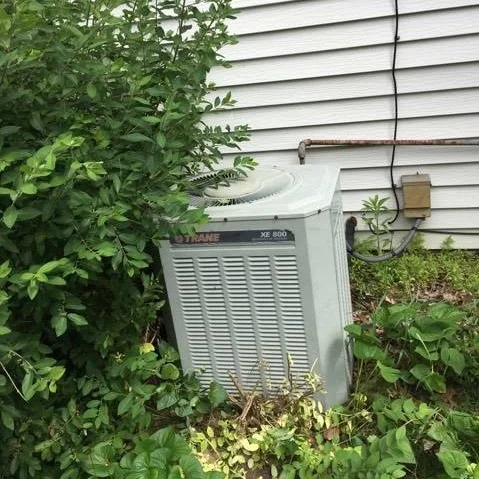 Your tech may tell you to call the landscaper to cut back overgrown foliage.