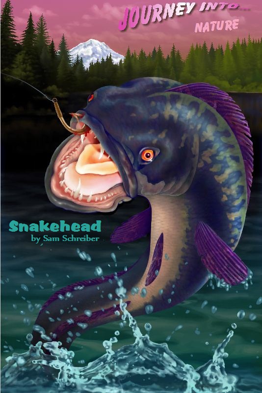 SNAKEHEAD