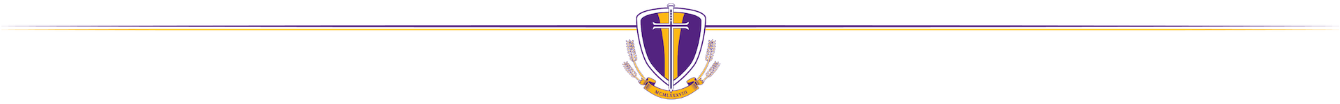 Trinity Divider Logo.png