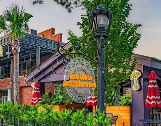 Mellow Mushroom - Aiken, South Carolina.jpg