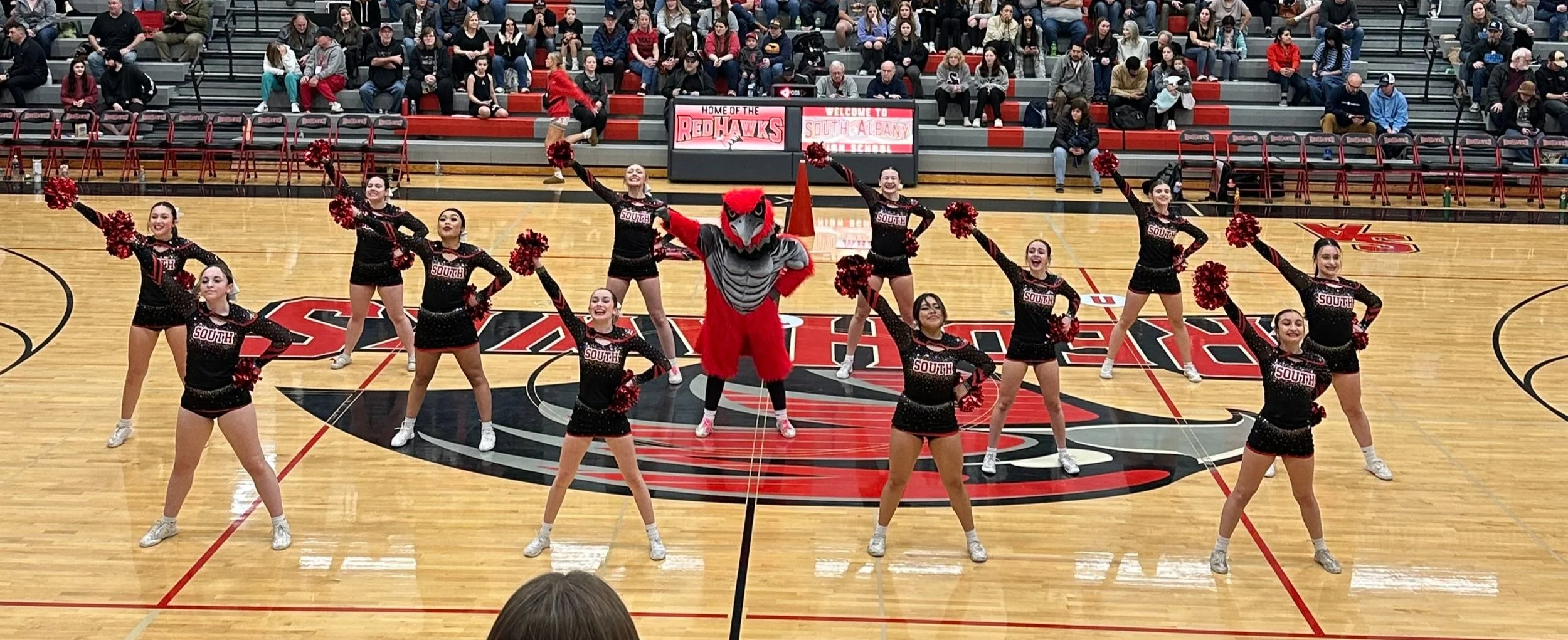 cheerbball1a.jpg