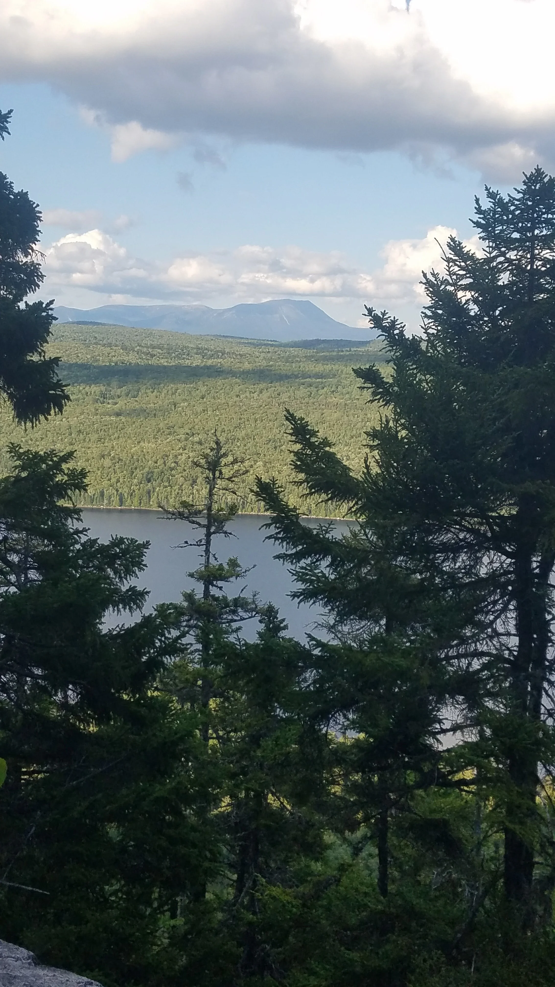 20170824_131115.jpg