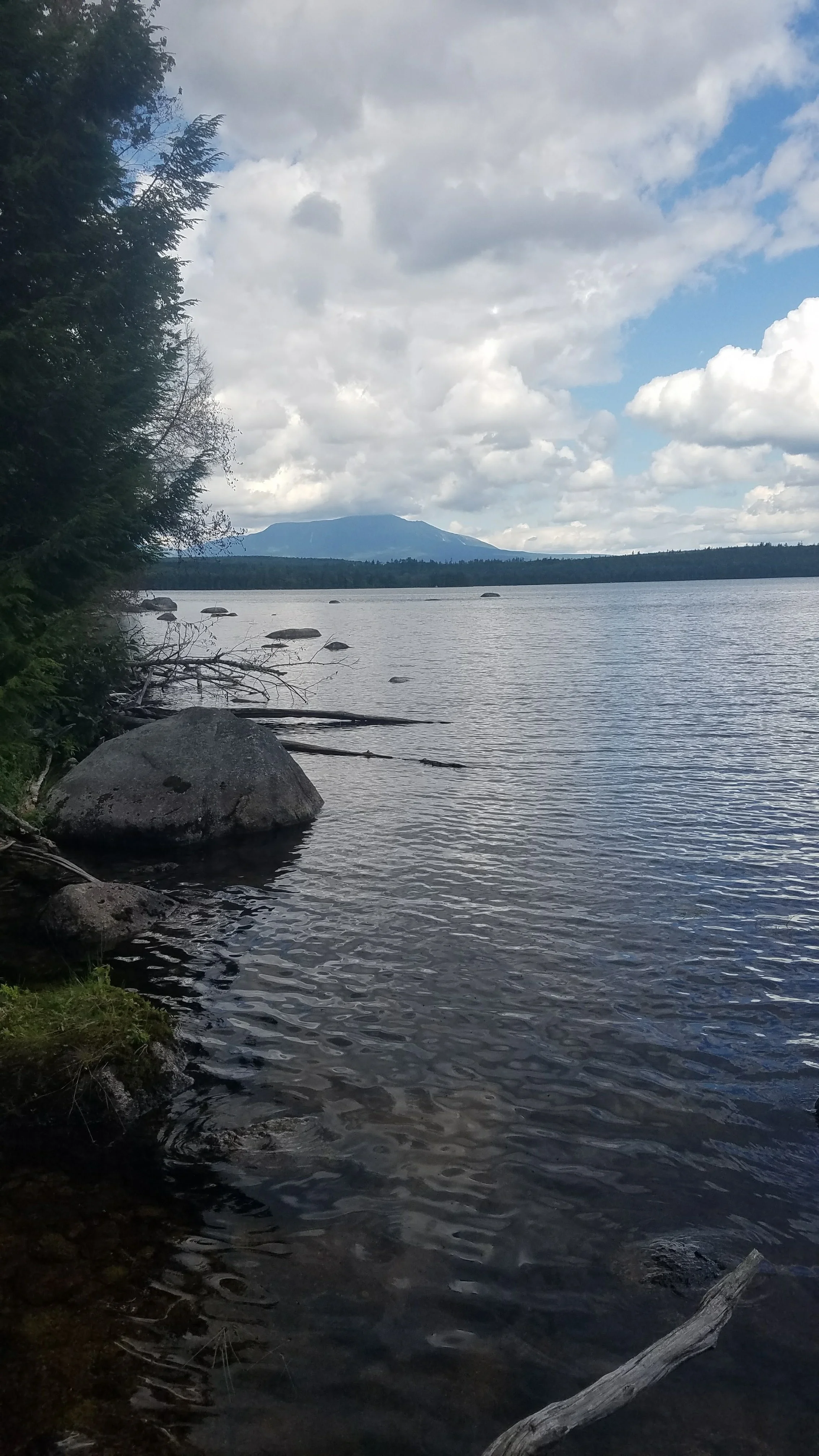 20170824_131115.jpg