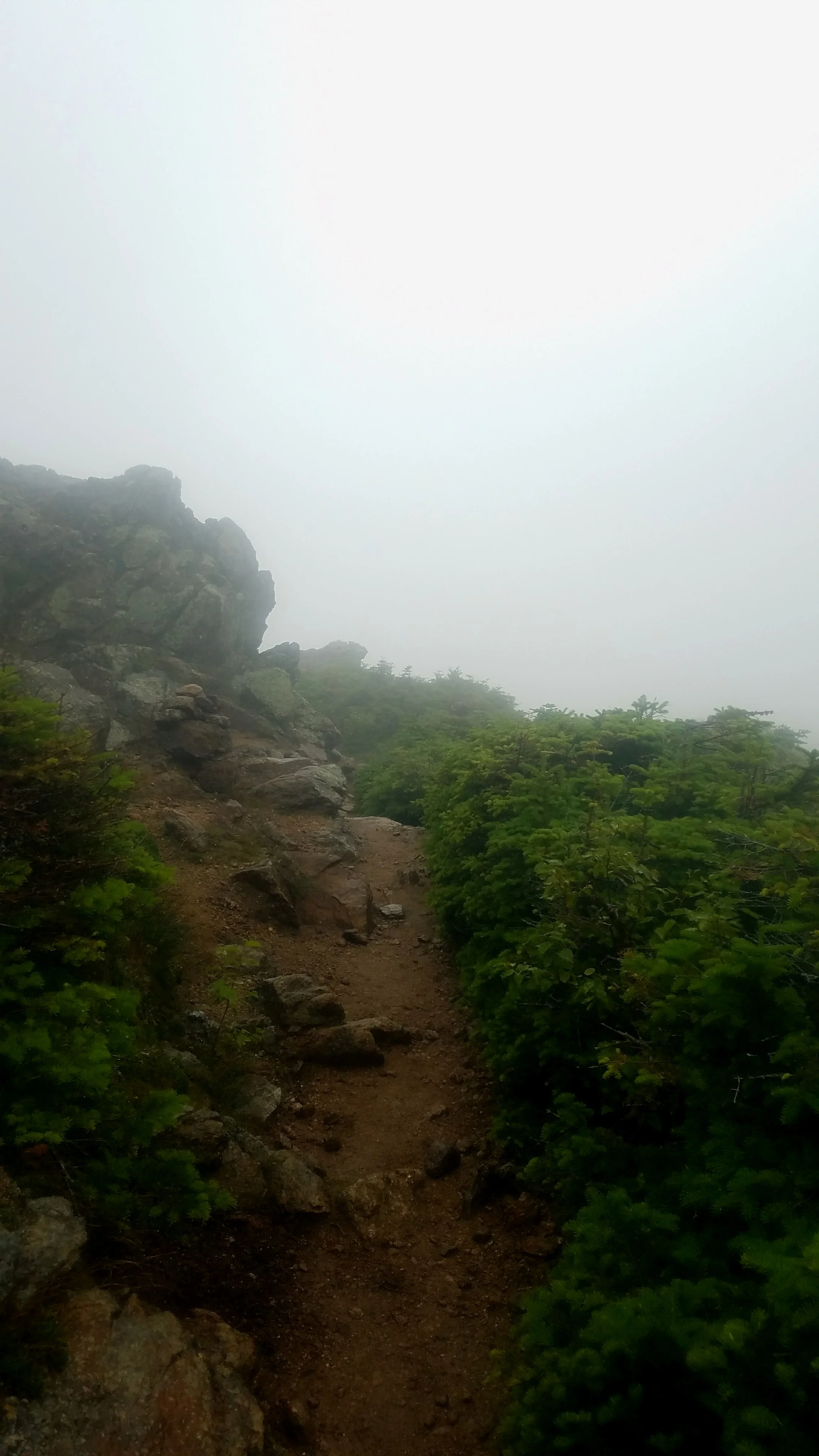 20170811_161544.jpg