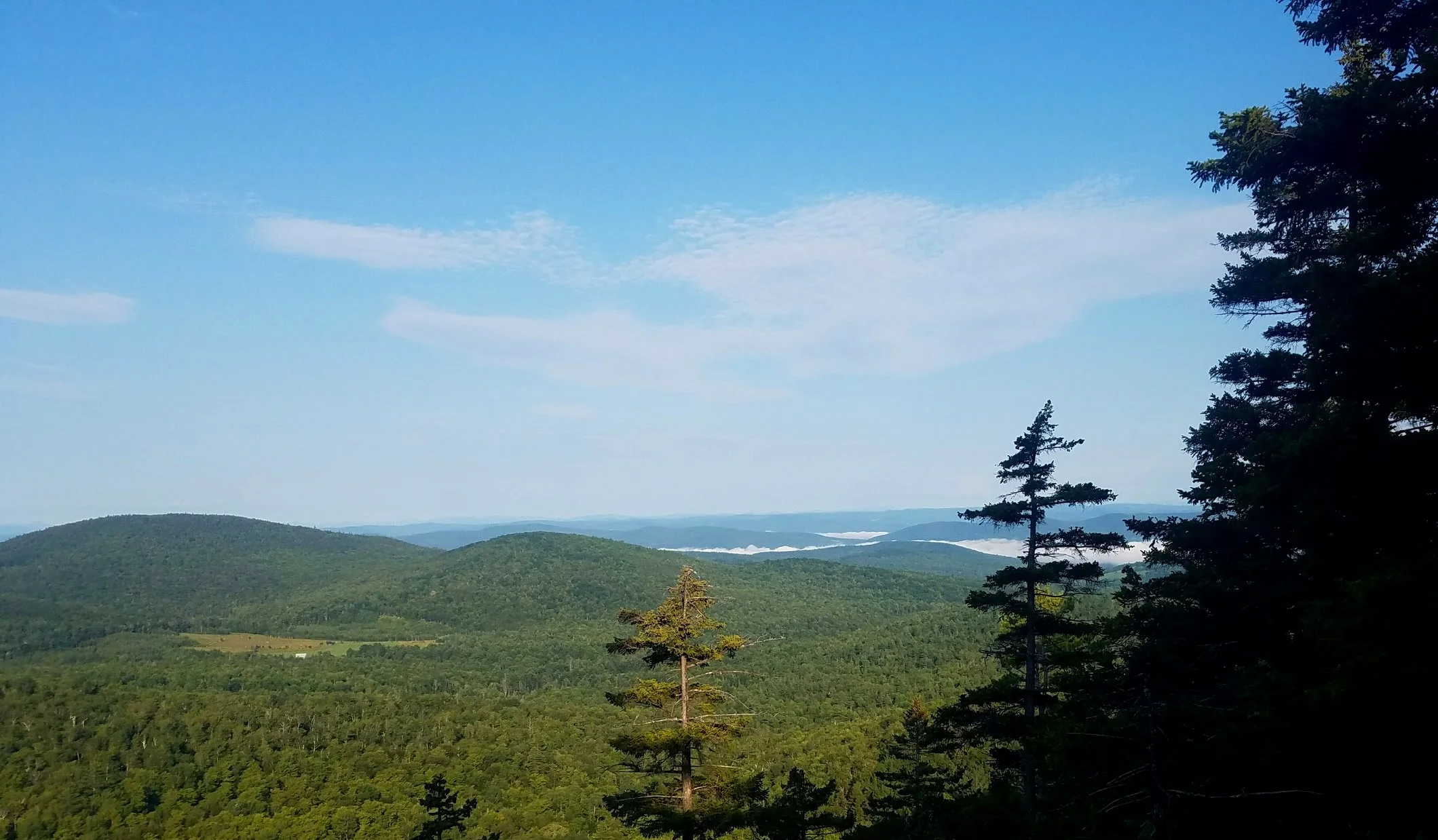 20170807_075055.jpg