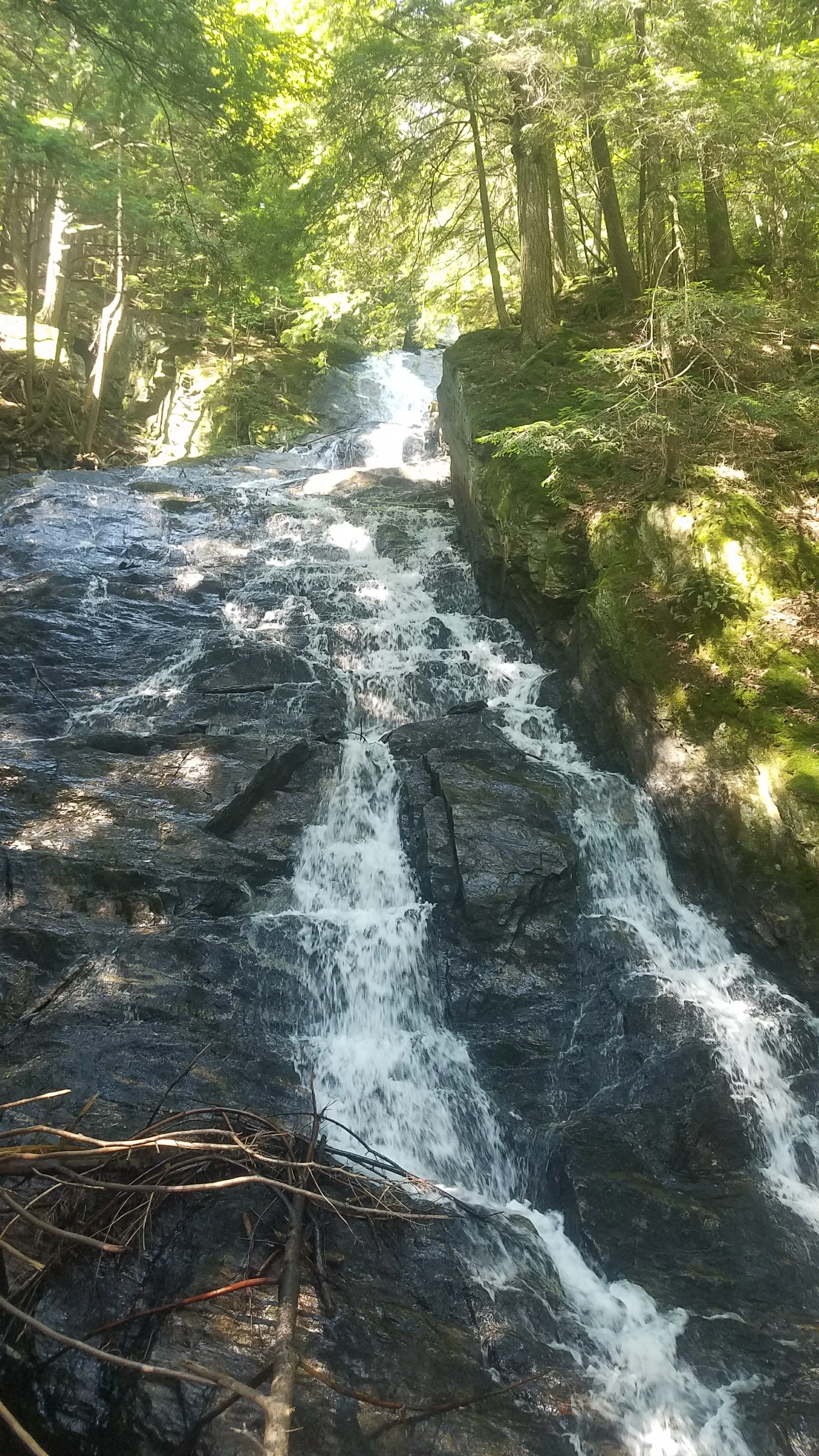 20170803_111028.jpg
