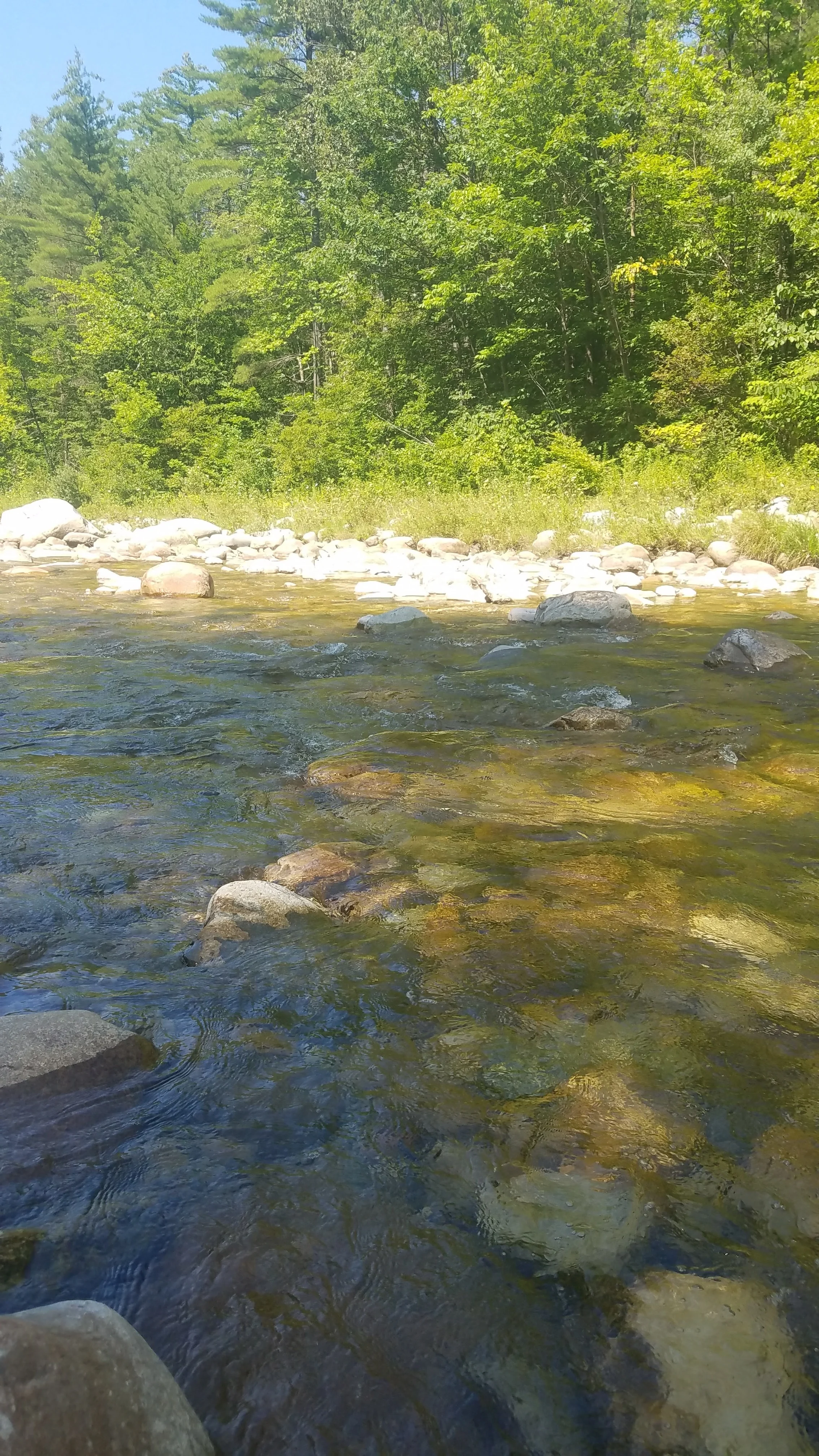 20170801_144850.jpg