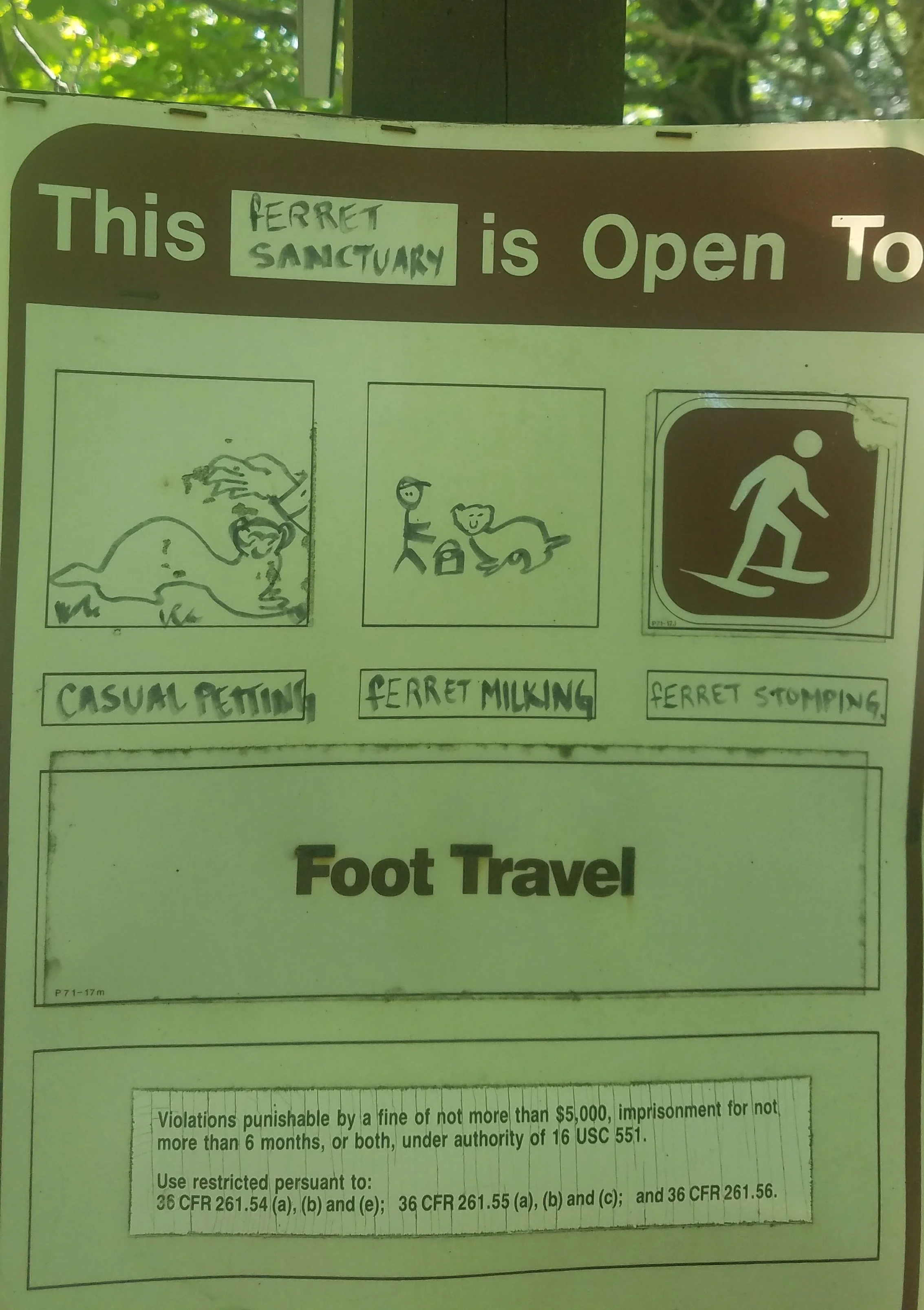 20170731_111805+%281%29.jpg