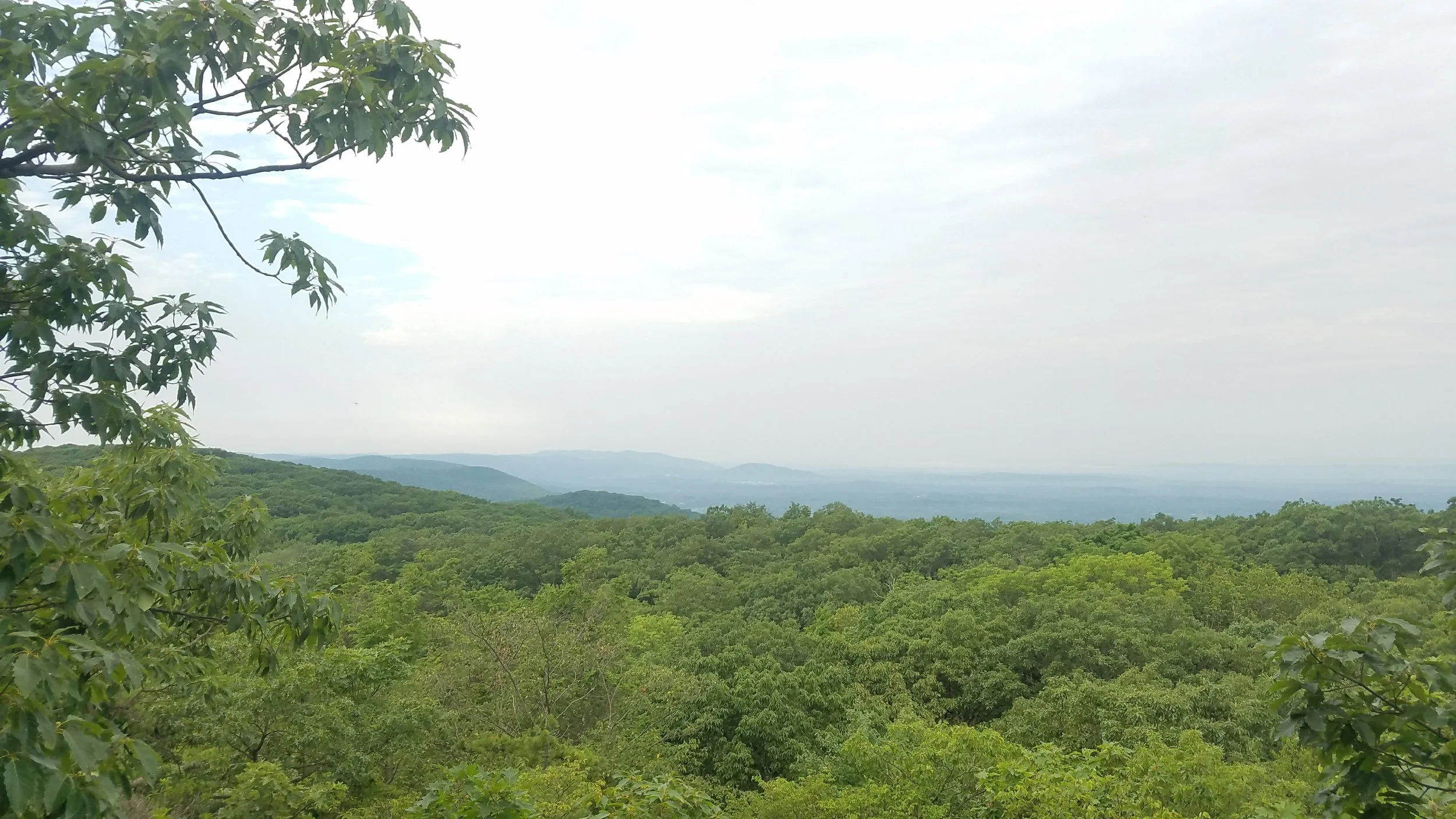 20170722_075311.jpg