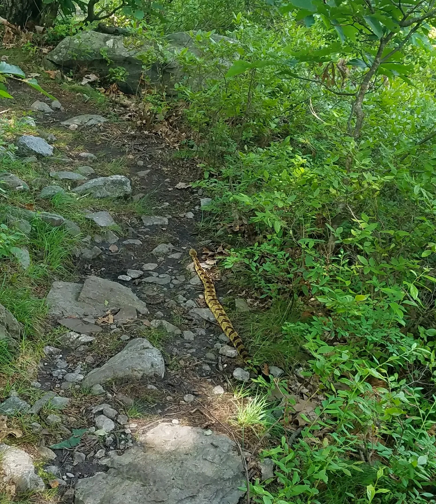 20170715_151444.jpg